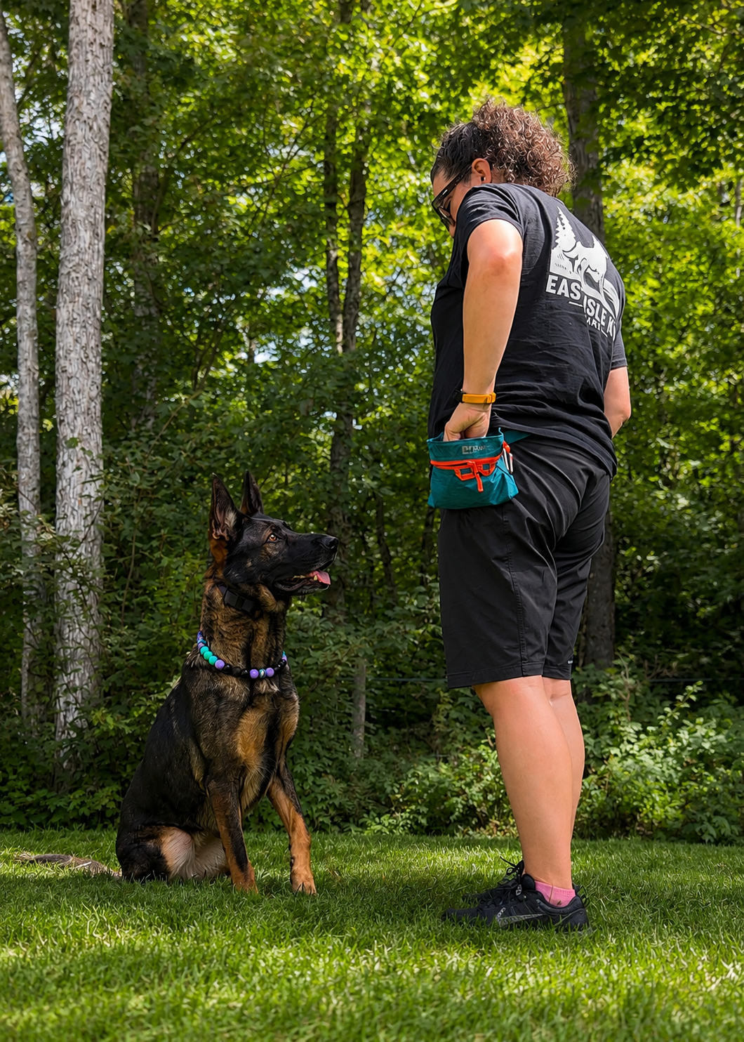 Food Is a Training Tool: Why I Use Food in Dog Training