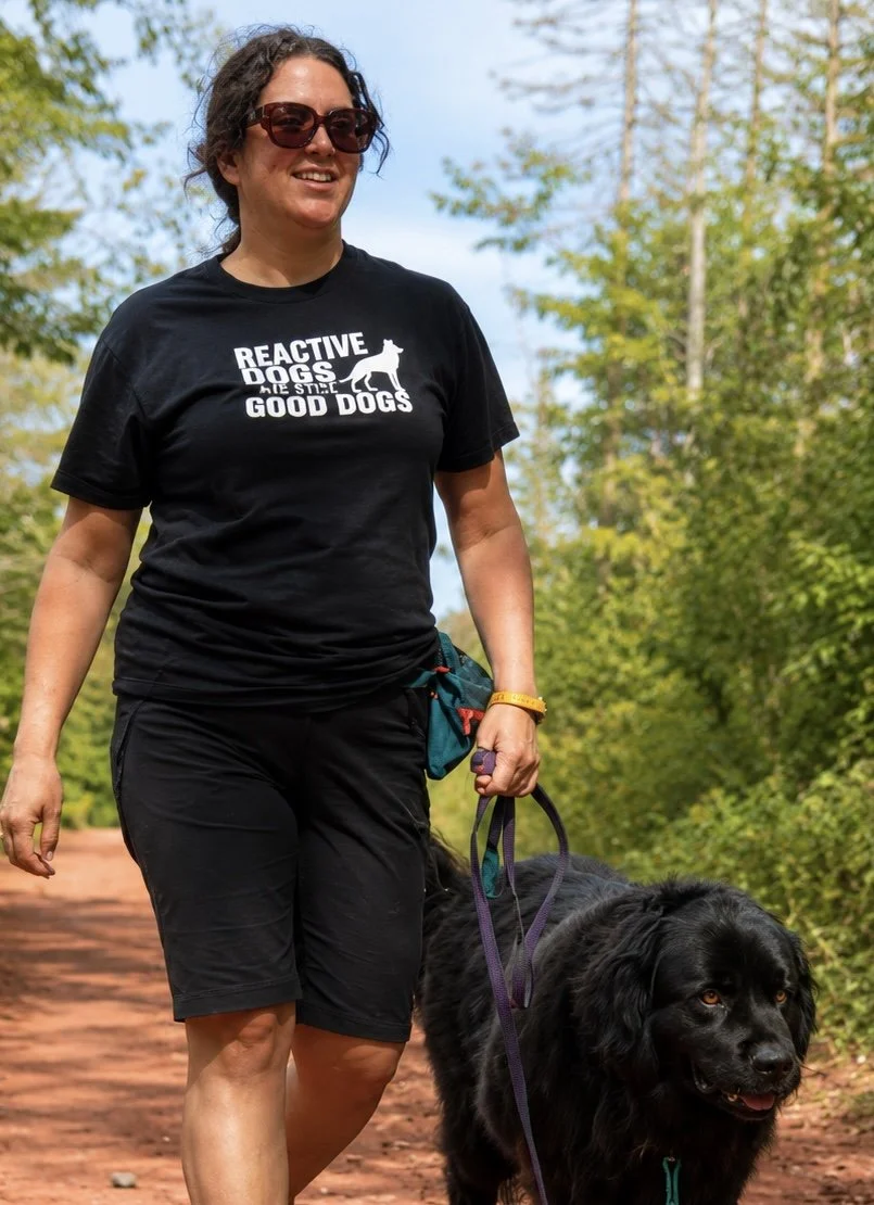 Reactive Dogs Are Still Good Dogs