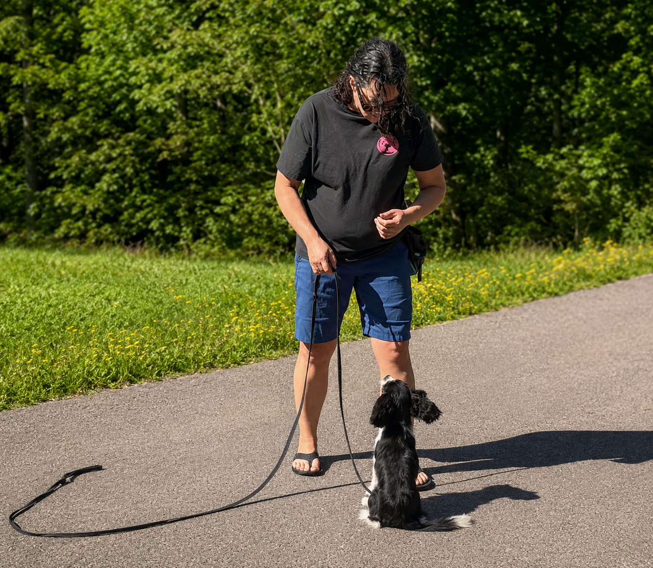 Does My Dog Need a Board &amp; Train? How to Know When It’s the Right Fit