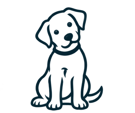 Puppy training focused on engagement, confidence, communication, obedience and problem solving.