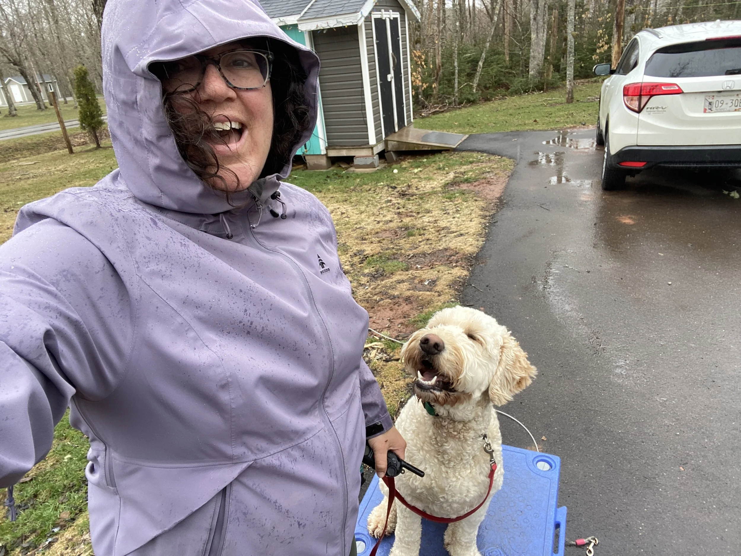 Dog trainer outdoors with a happy dog during a rainy training session in Prince Edward Island.