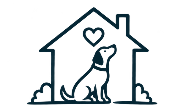 Dog training for everyday behaviours including jumping, barking, calmness and impulse control.