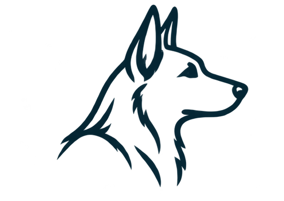 Dog training for behavioural challenges including reactivity, aggression, fear, anxiety and over-arousal.