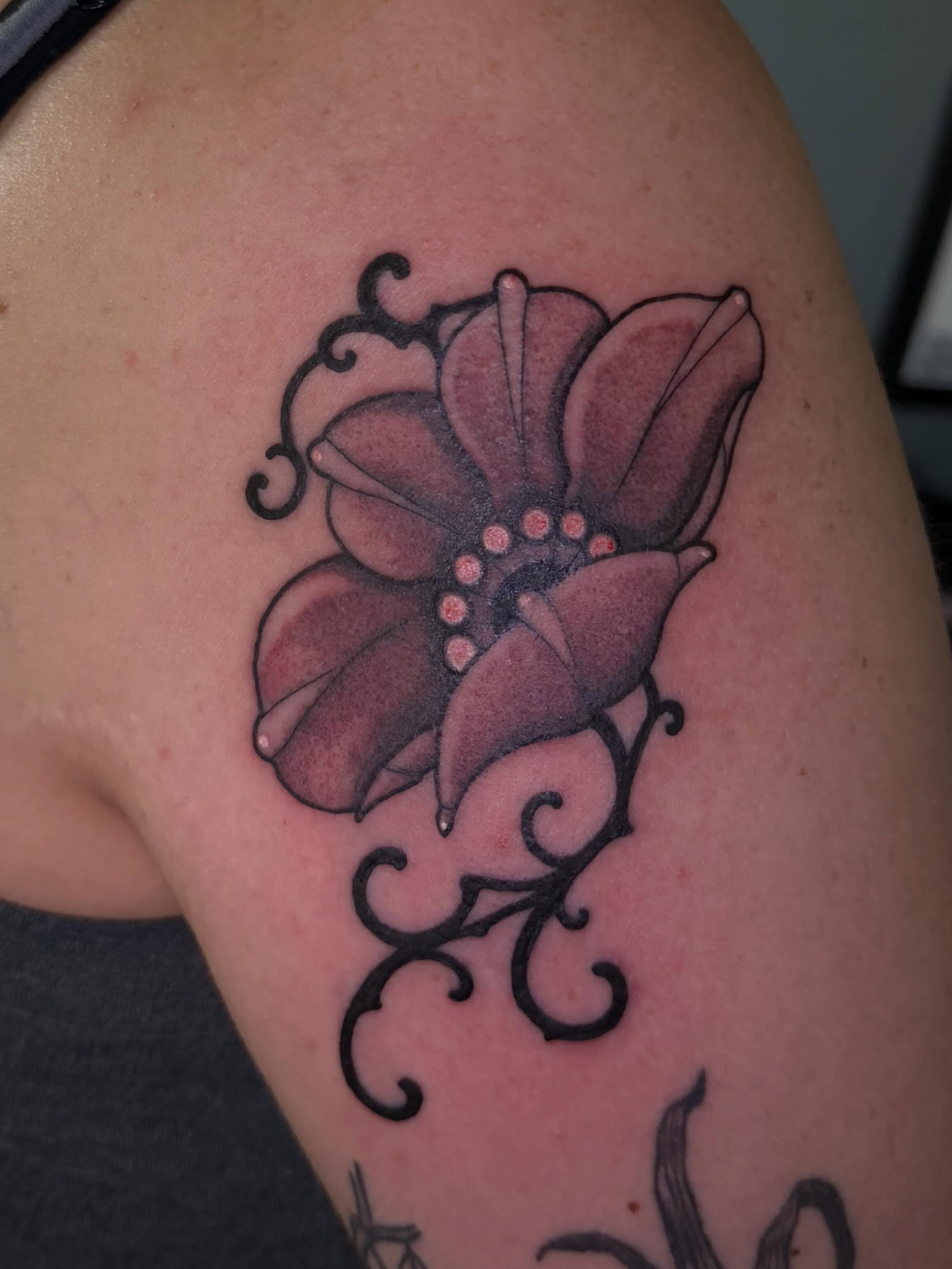 Flash piece for Jackie! Thanks so much for making the trip!🖤 

Dm me to book! 

#tattoos #tattooartist #femaletattooartists