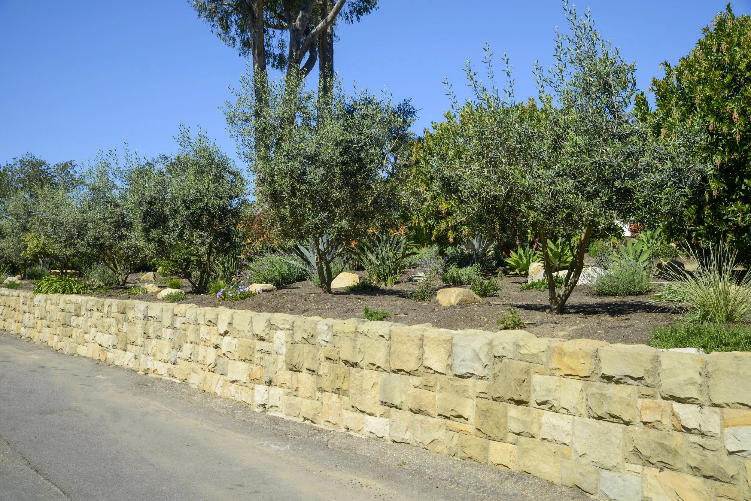 A raised flower bed edged with beige stone bricks, filled with various green shrubs, small plants, and flowers, alongside a paved street under a clear blue sky.