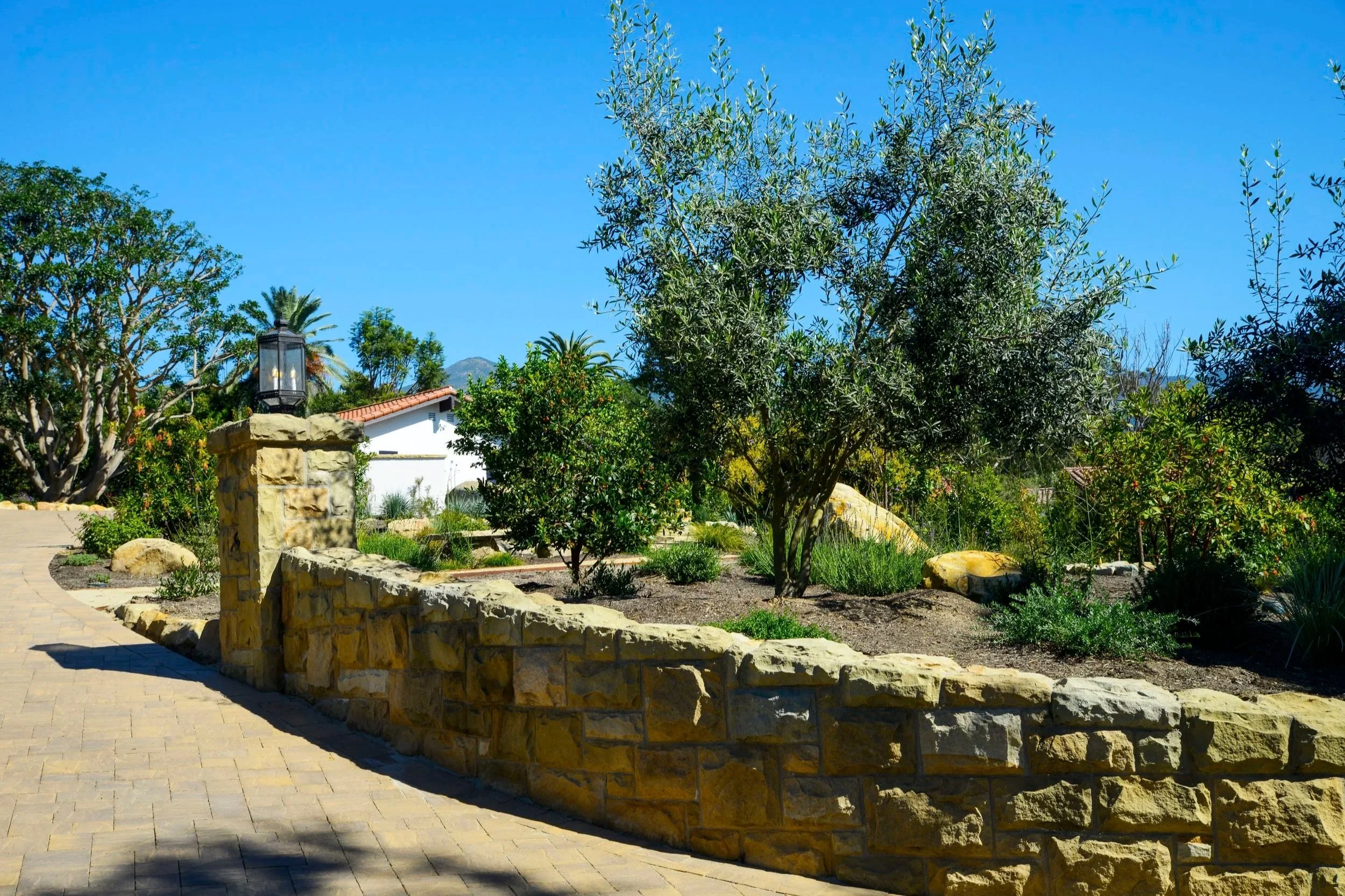 A garden with green trees and shrubs, a stone wall, and a pathway under a clear blue sky.
