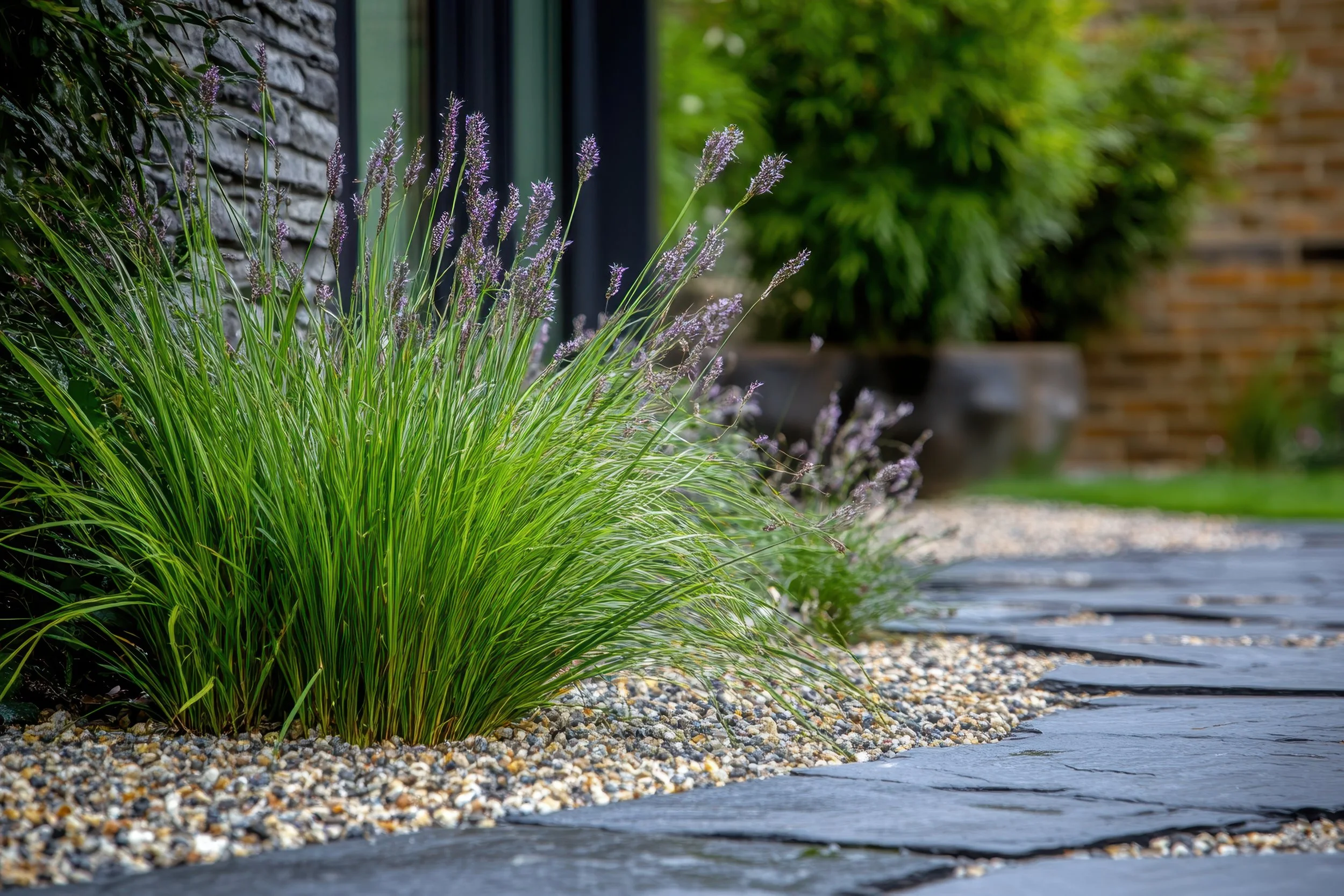 A garden pathway lined with green grass and purple flowering plants next to a brick and stone building.