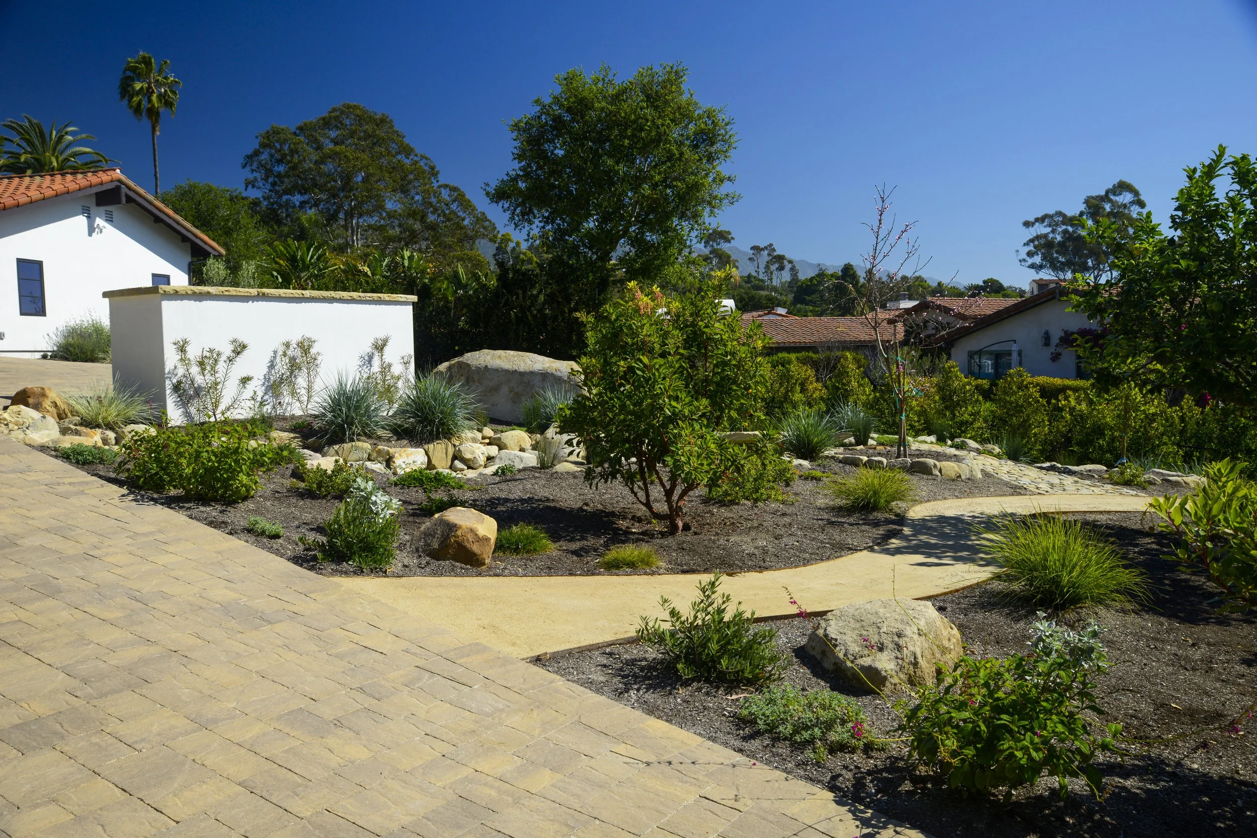 A landscaped backyard with a paved stone driveway, a winding concrete pathway, and various shrubs, rocks, and trees under a clear blue sky.