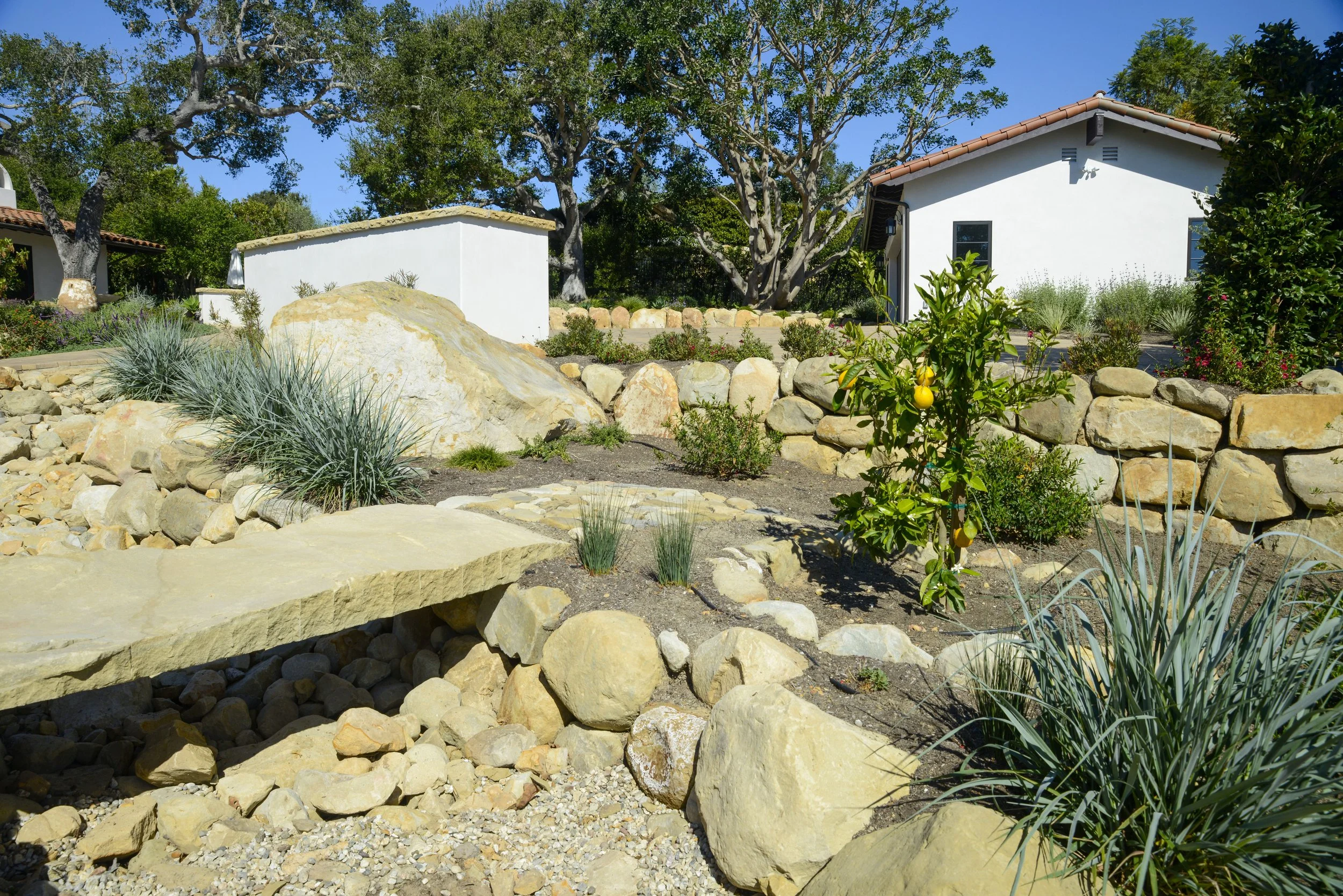 A landscaped garden with large rocks, drought-resistant plants, a small lemon tree with ripe lemons, and a white building with a red-tiled roof in the background.