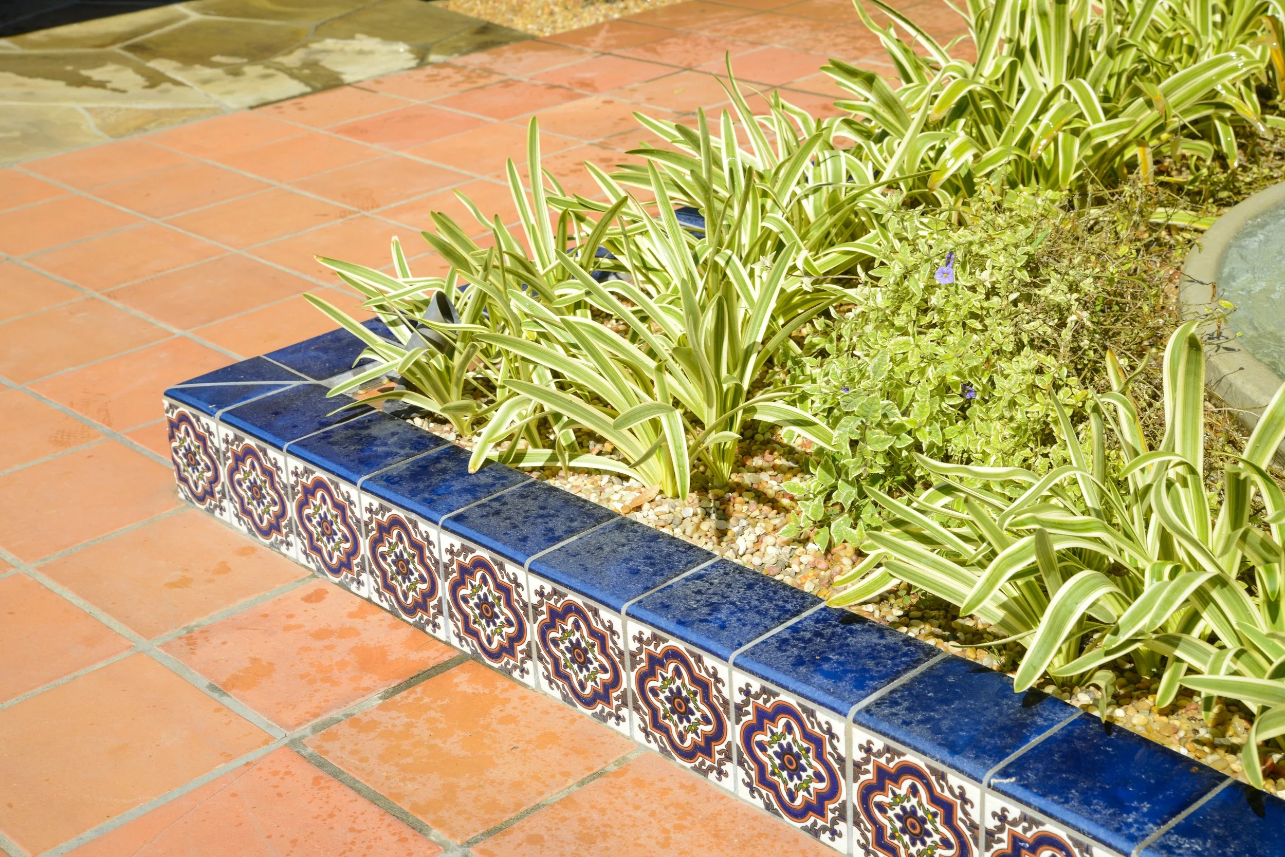 Decorative garden bed with green striped plants and small purple flowers, bordered with colorful patterned tiles on terracotta patio tiles.
