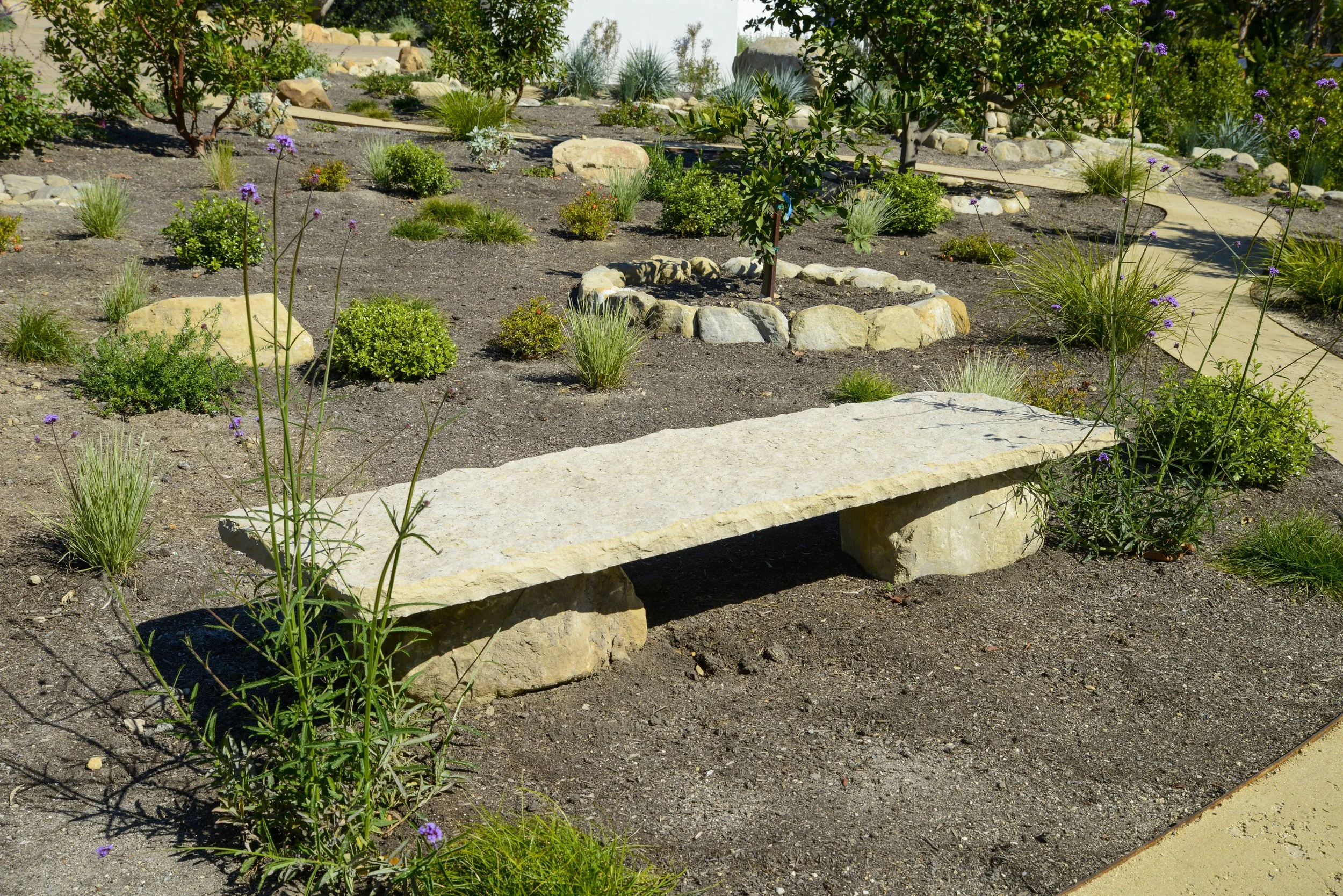 A landscaped garden with a stone bench, soil, various green plants, small bushes, and a stone pathway.