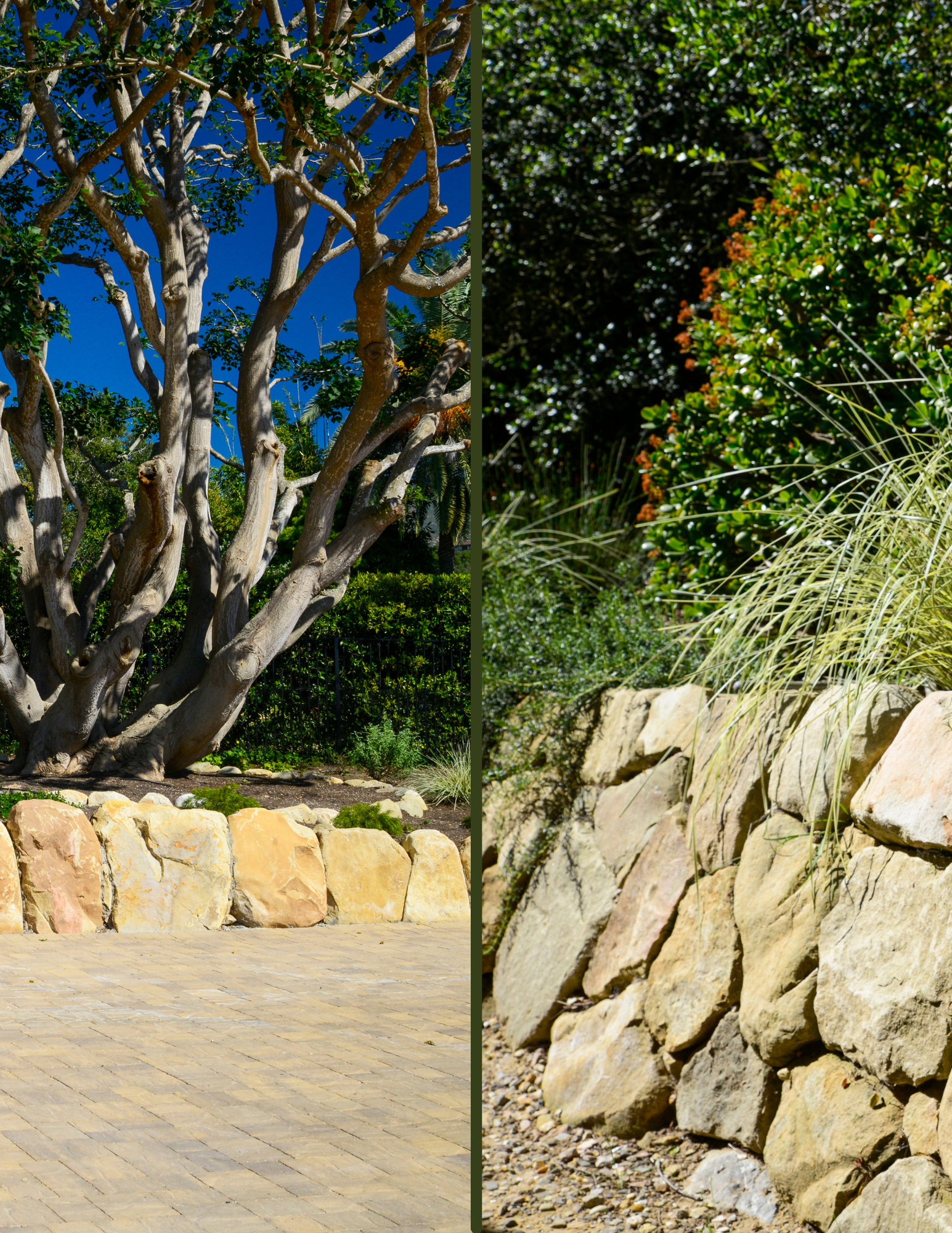 rootline landscape in retaining walls