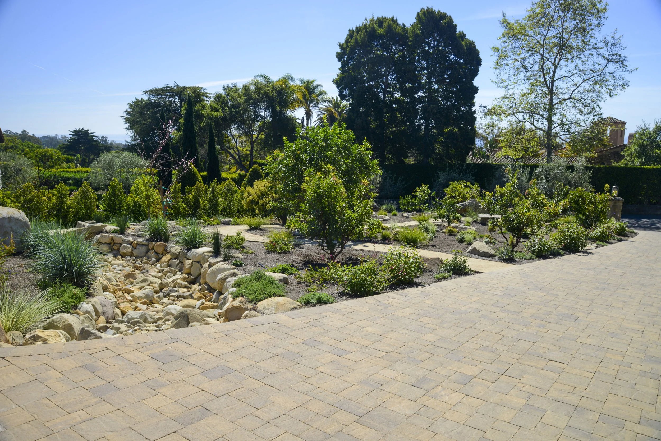 A landscaped garden with various trees and shrubs, a paved walkway, and a dry creek bed with rocks, under a clear blue sky.