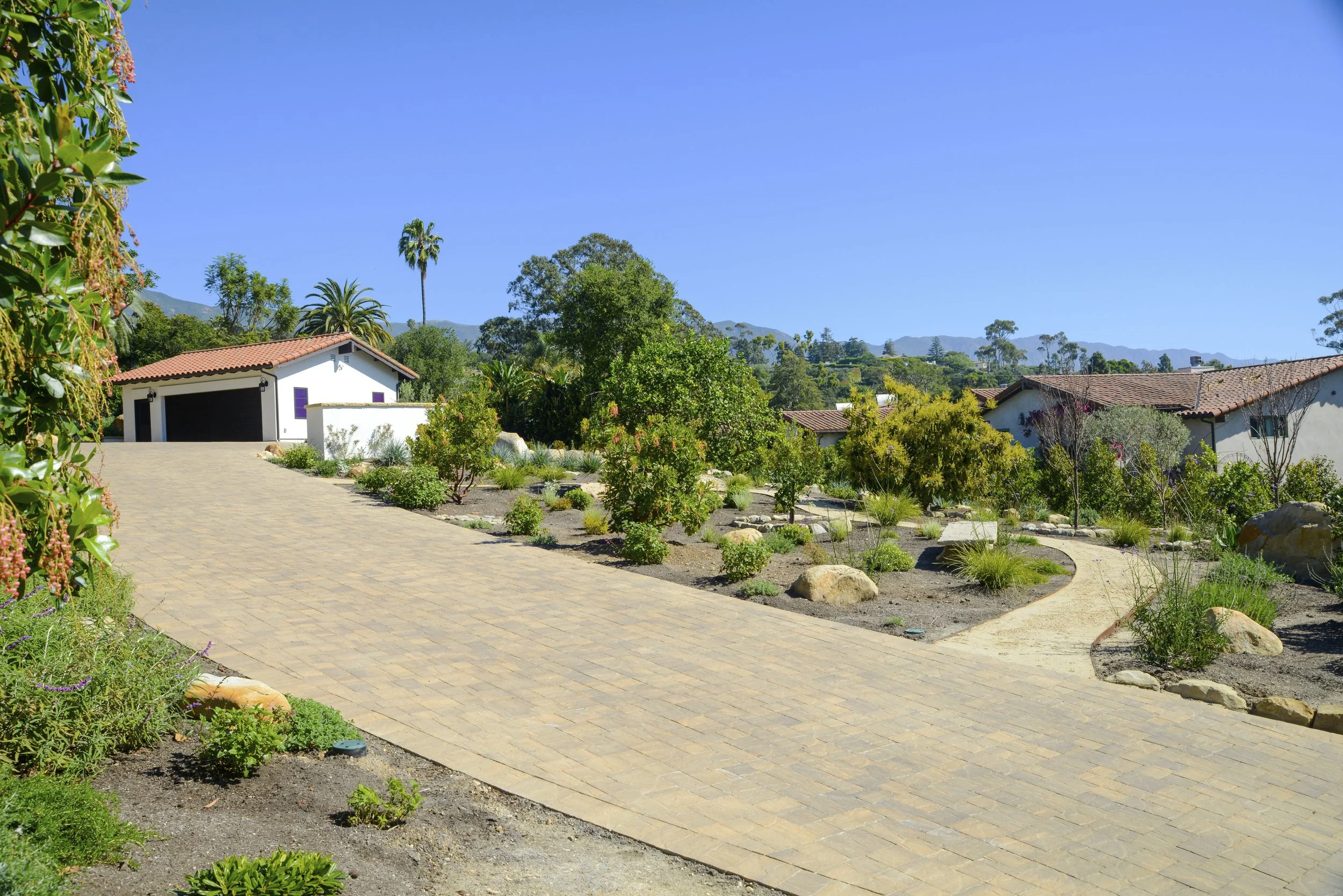 A paved driveway leading to a garage, surrounded by a landscaped yard with various plants, trees, and rocks under a clear blue sky.