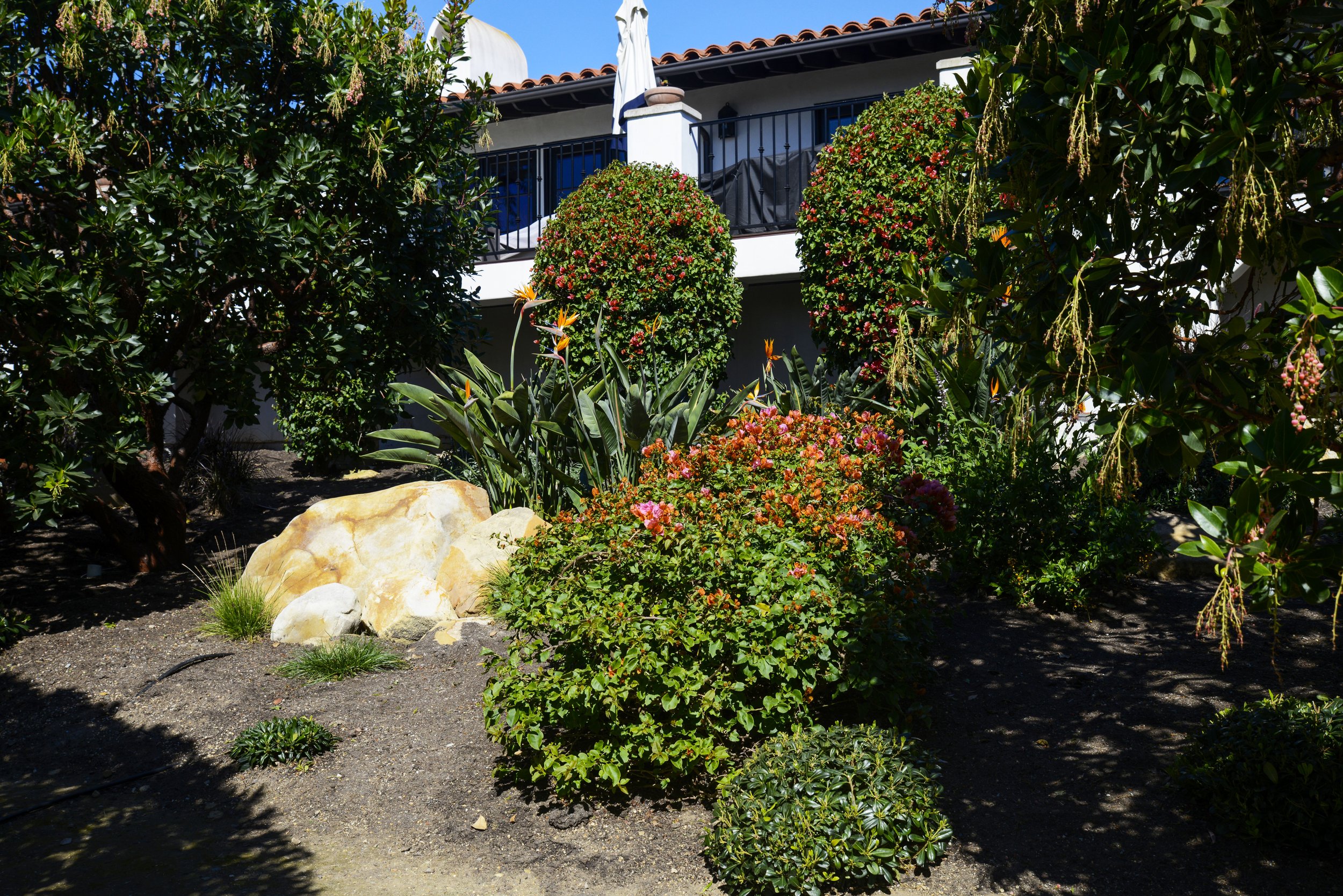 A garden with lush green bushes, flowering plants, and rocks in front of a house with a balcony, black railing, and tiled roof under a clear blue sky.
