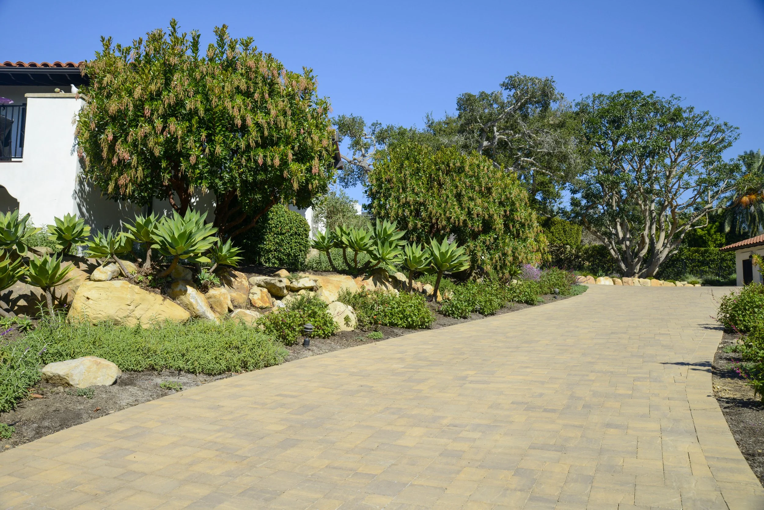 A landscaped driveway with various green trees and plants, rocks, and a white building with a tiled roof under a clear blue sky.