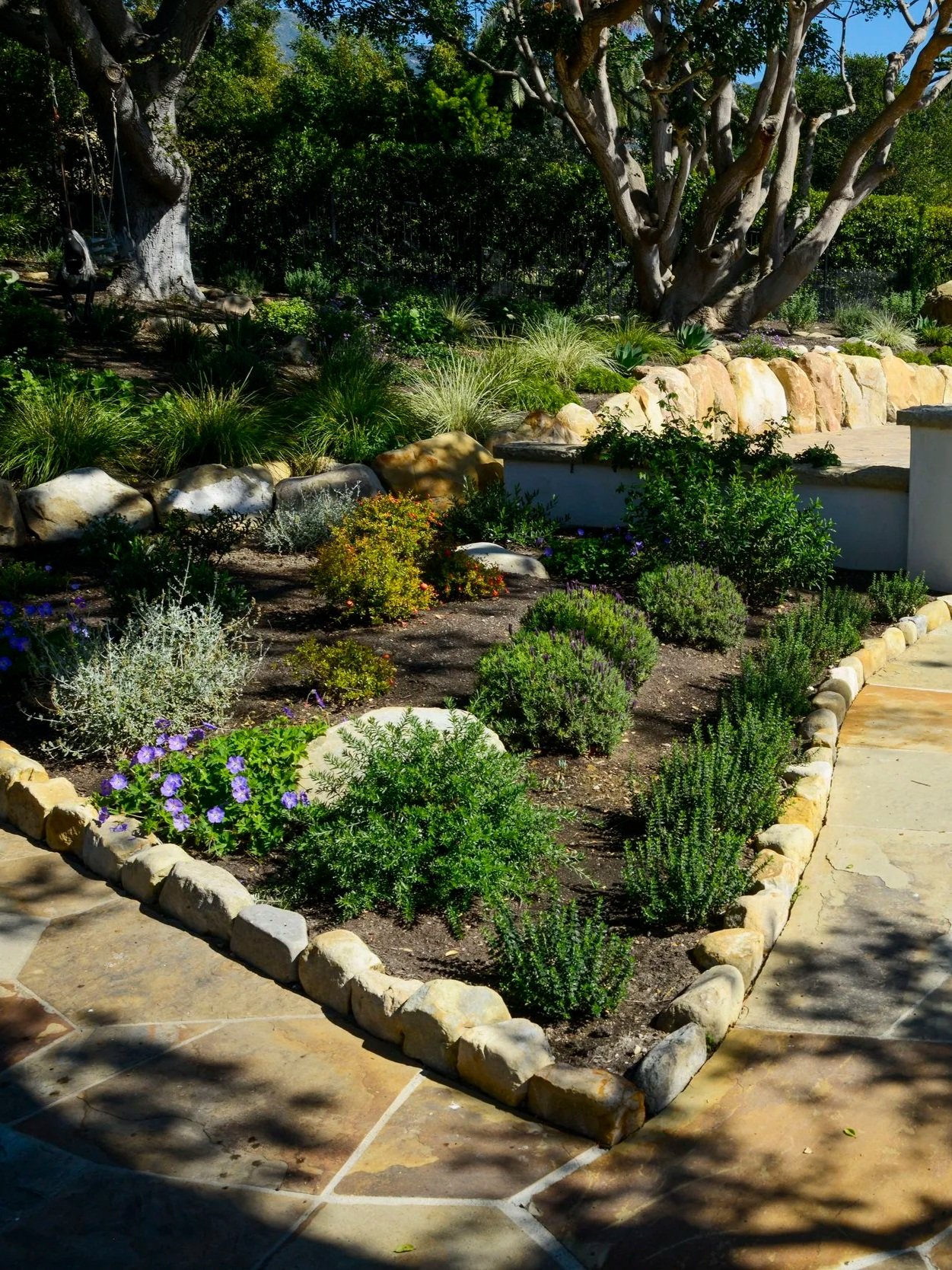 A garden with various green shrubs, purple flowers, and small plants bordered by stones, with large trees and a stone pathway in the background.