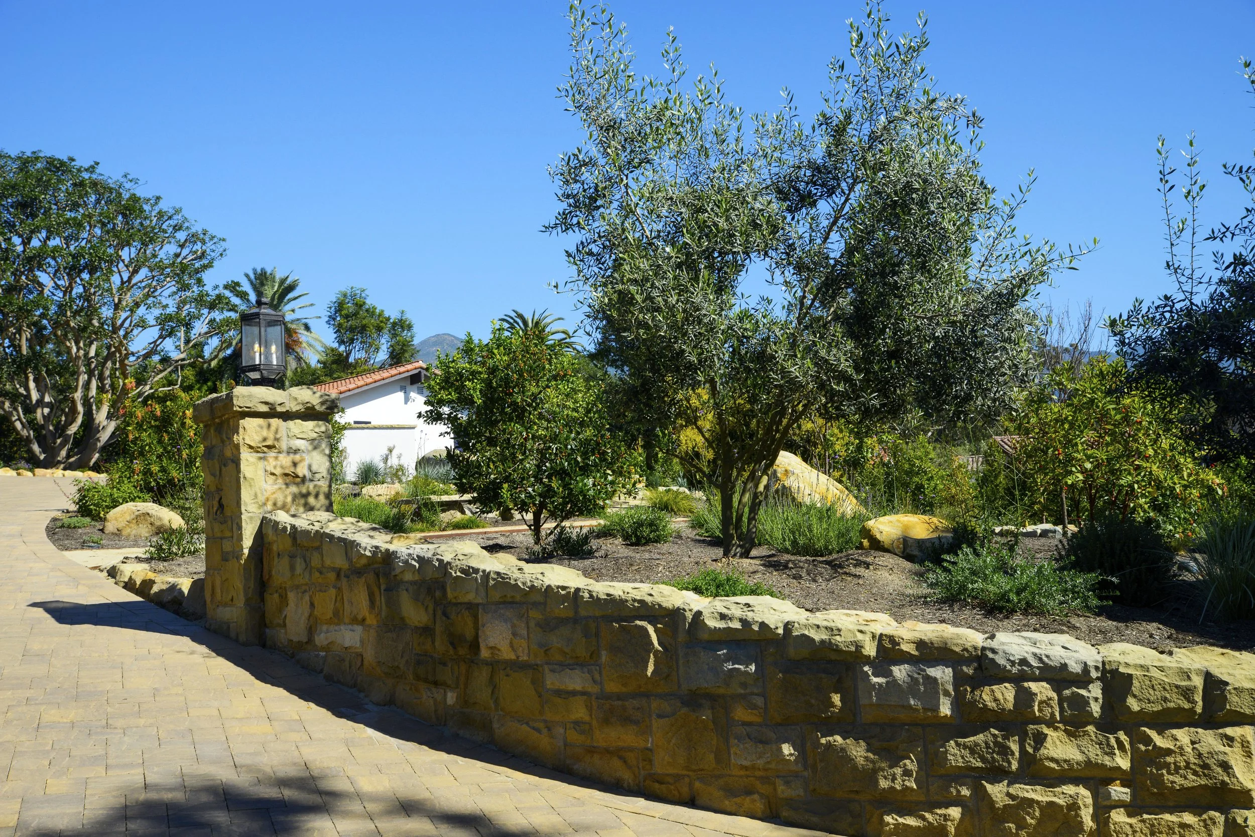 A garden with green trees and shrubs, a stone wall, and a pathway under a clear blue sky.