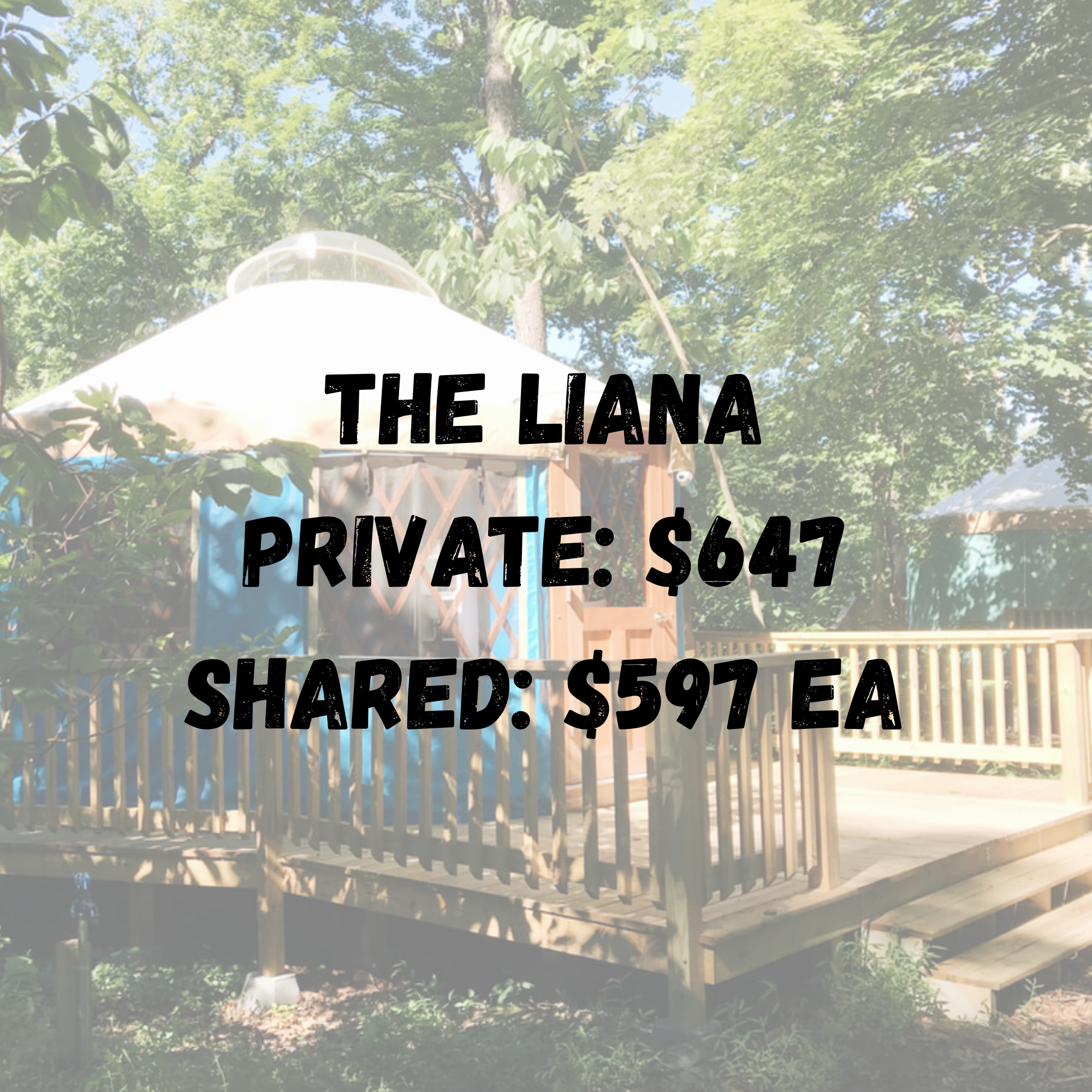 The Liana Yurt Registration Ticket