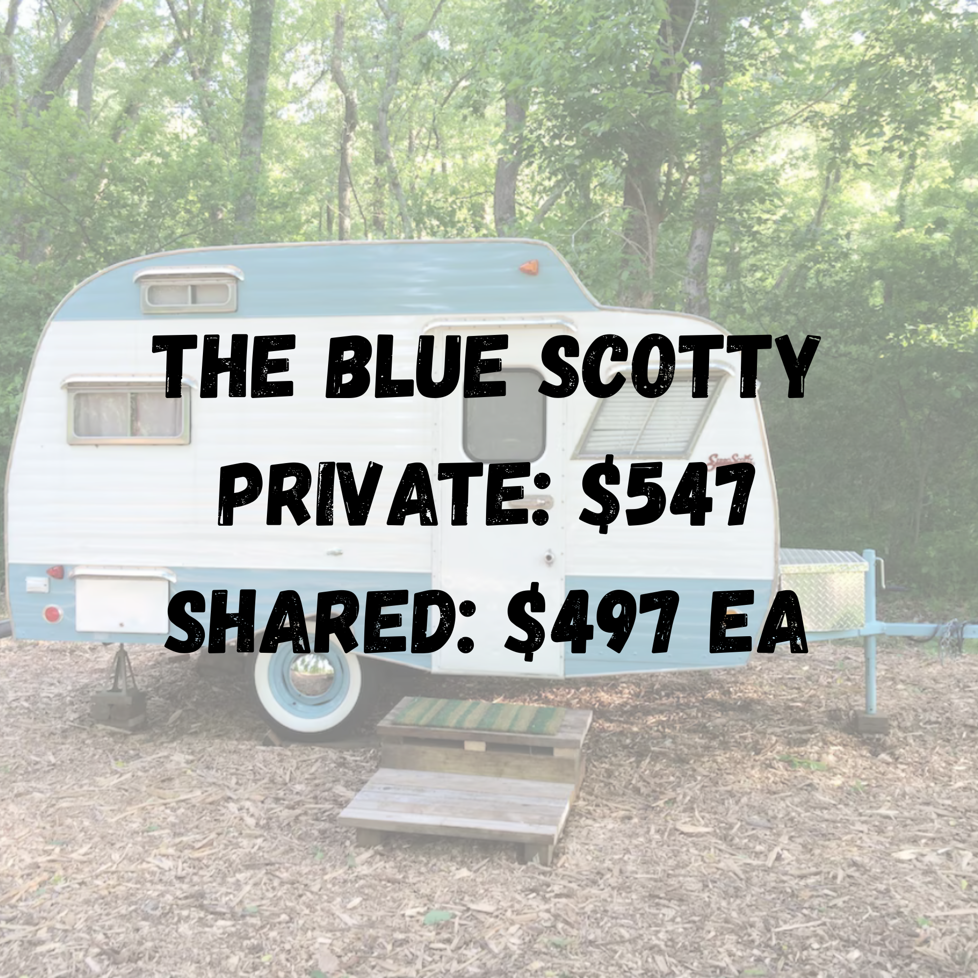 The Blue Scotty (1968) Vintage Trailer Registration Ticket
