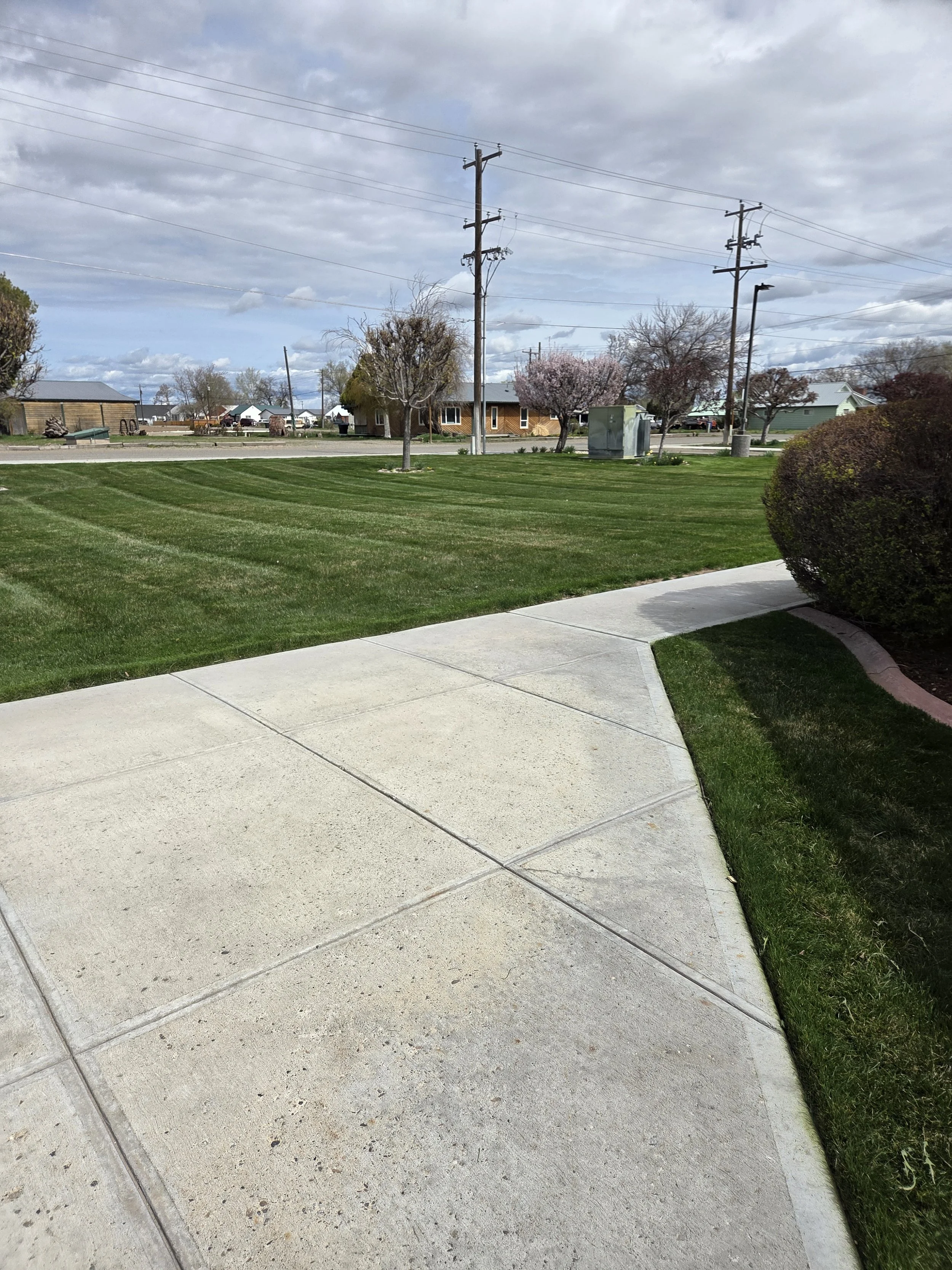 A sidewalk curves through a grassy yard with a large bush on the right and small trees in the background. Power lines and houses are visible under a cloudy sky.