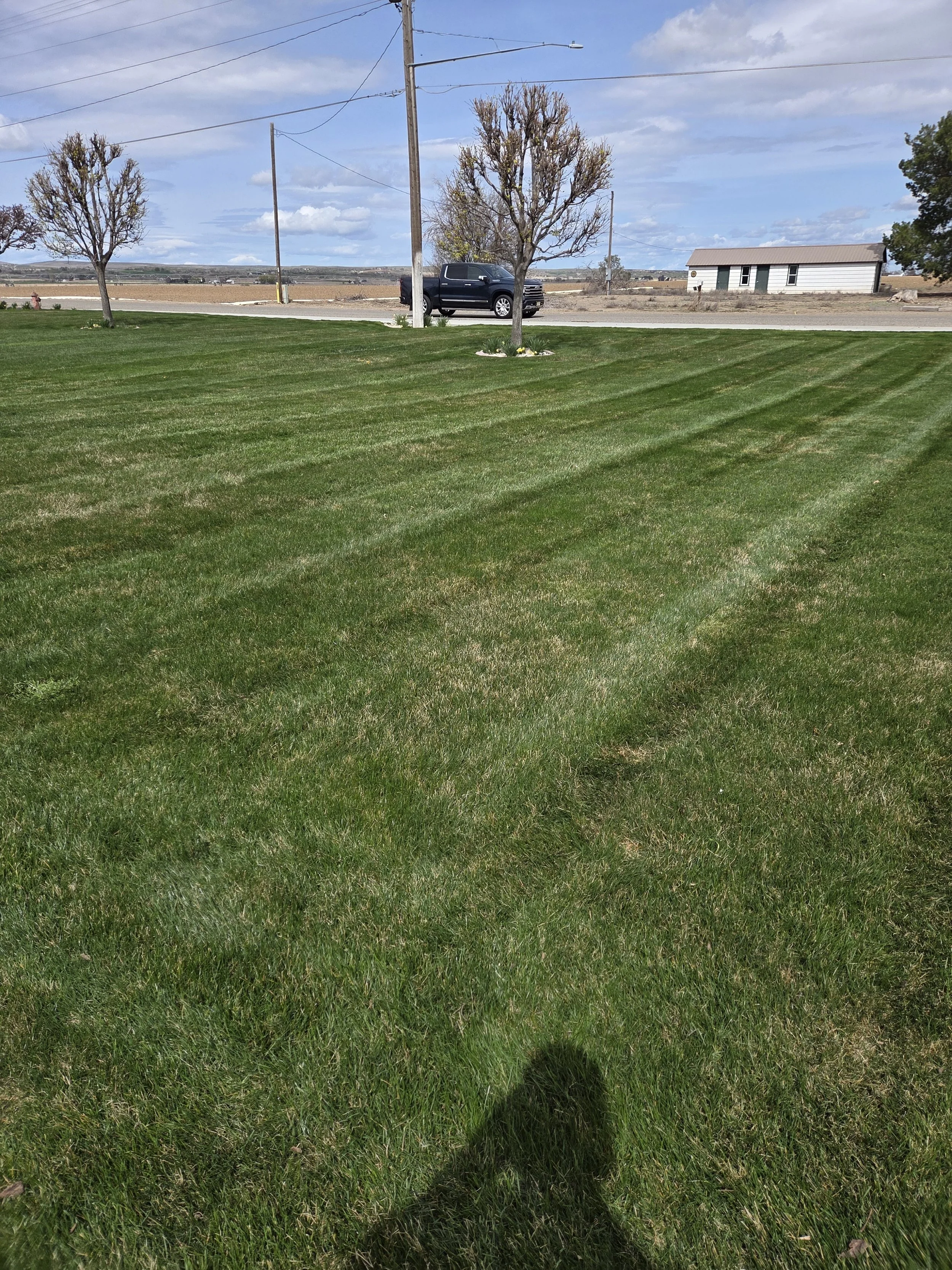 A well-maintained grassy lawn with stripes, two leafless trees, a utility pole, and a parked truck in front of a small building under a partly cloudy sky.