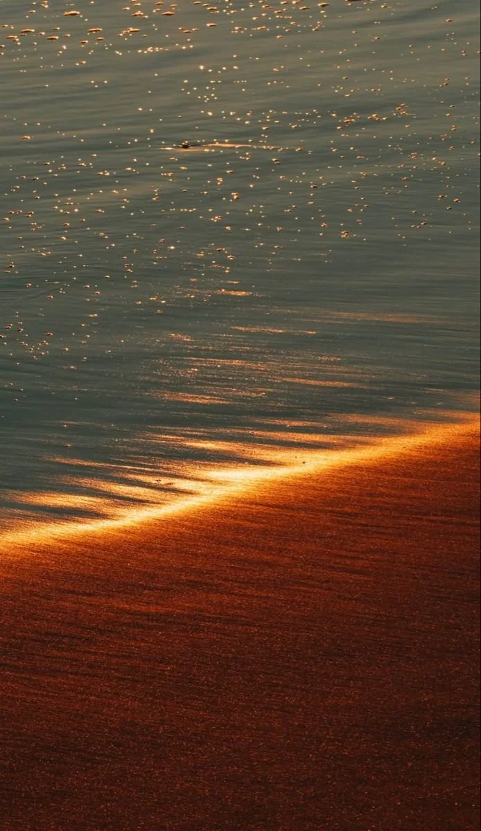 Inspira // Curated Land near Todos Santos