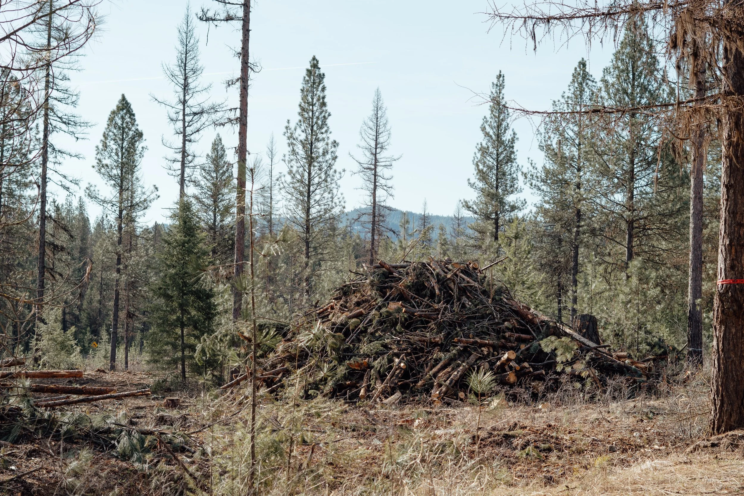 CTG02066 (2) (2).jpg