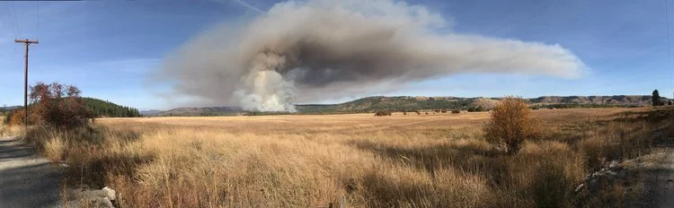 OKIMG_7713 - Copy.jpg