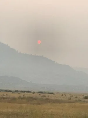 OKIMG_7225 - Copy.jpg