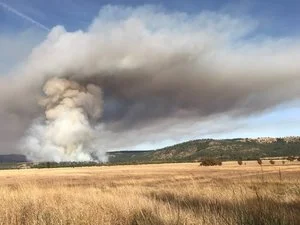 OKIMG_7710 - Copy.jpg