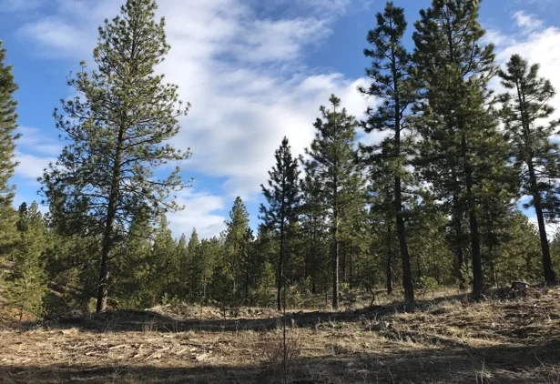 Fall 2018 Newsletter