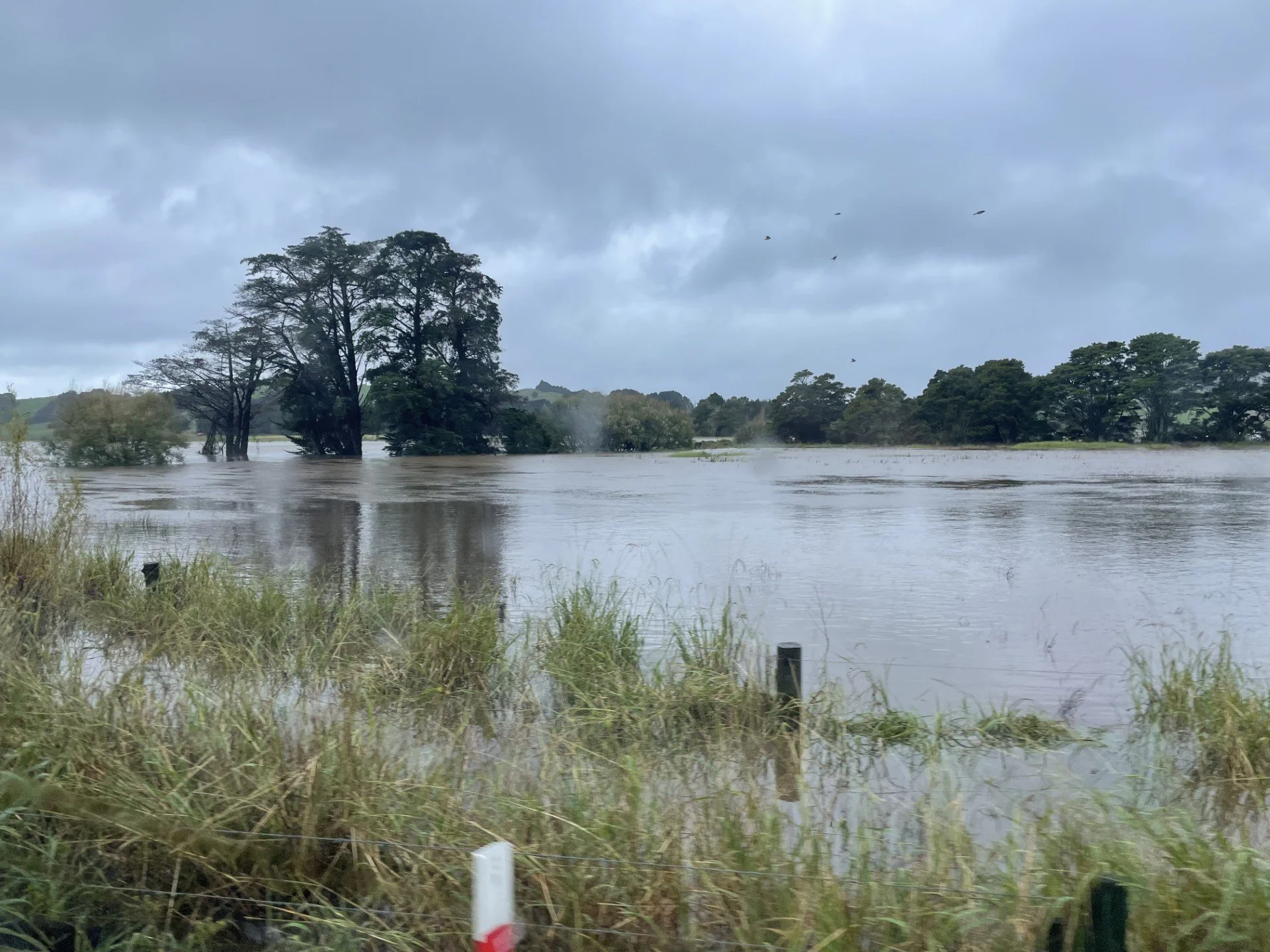 Auckland Unitary Plan: What is Plan Change 120?