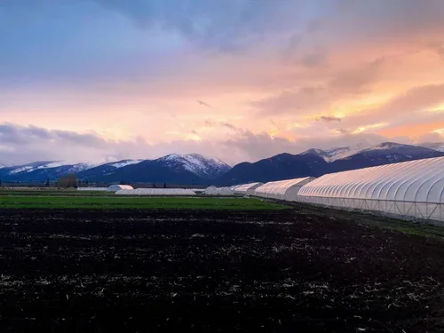 Winter Vegetable Growing Workshop - Free Event