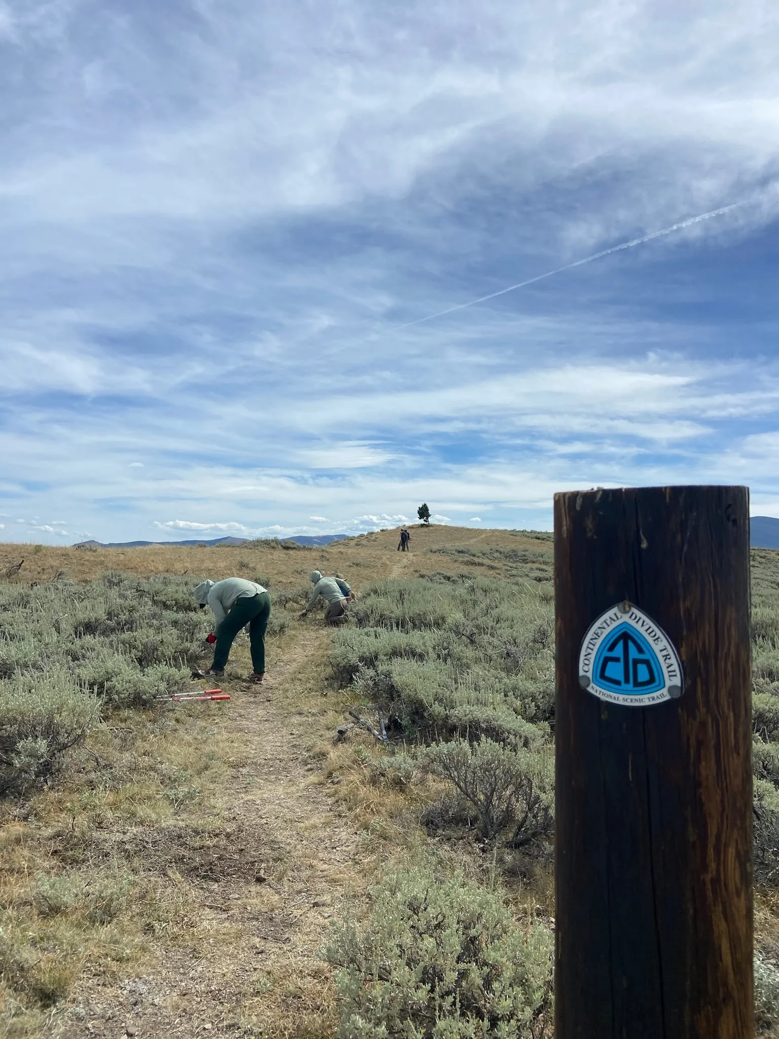 This past weekend Kate joined Sierra with the CDTC and volunteers from across the region - and country! - for a CDT trail maintenance weekend at Lemhi Pass. The group camped at the brand new Tarpons Roost Cabin, constructed and managed by the Salmon 