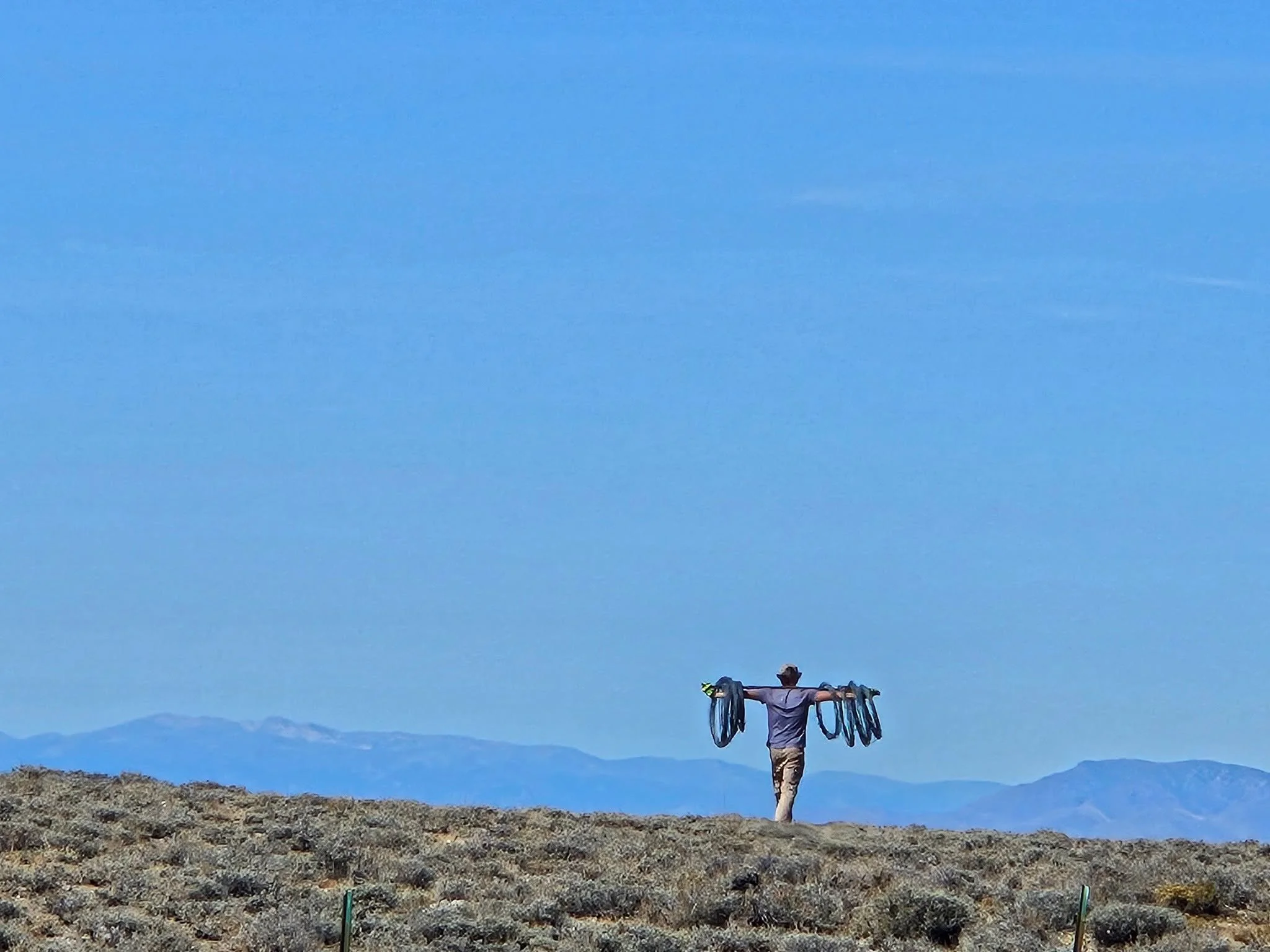 The SVS Ecological Monitoring Crew has been busy the past few months, mapping invasive weeds for the South Zone of the Salmon-Challis National Forest and Challis Field Office BLM. Projects took the crew on a number of camping hitches to some stunning