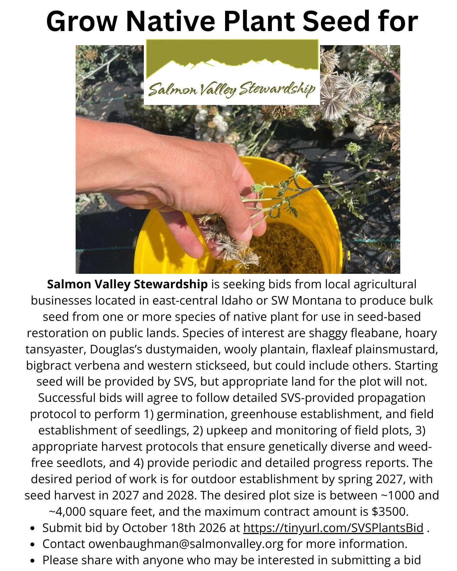 Grow Native Plant Seed for Salmon Valley Stewardship
The Native Plants Program is seeking bids from local agricultural businesses located in east-central Idaho or southwest Montana to produce bulk seed from one or more species of native plant for use