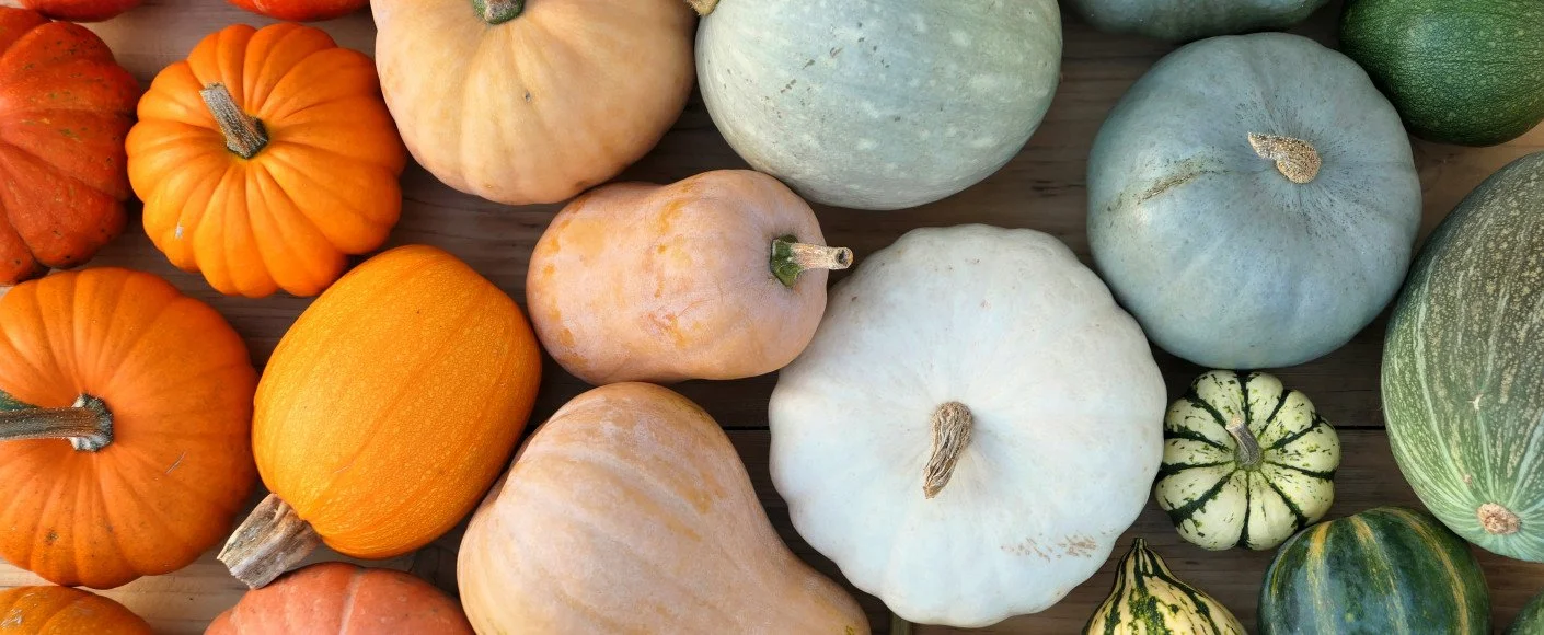 Add Value to Your Harvest: Winter Squash