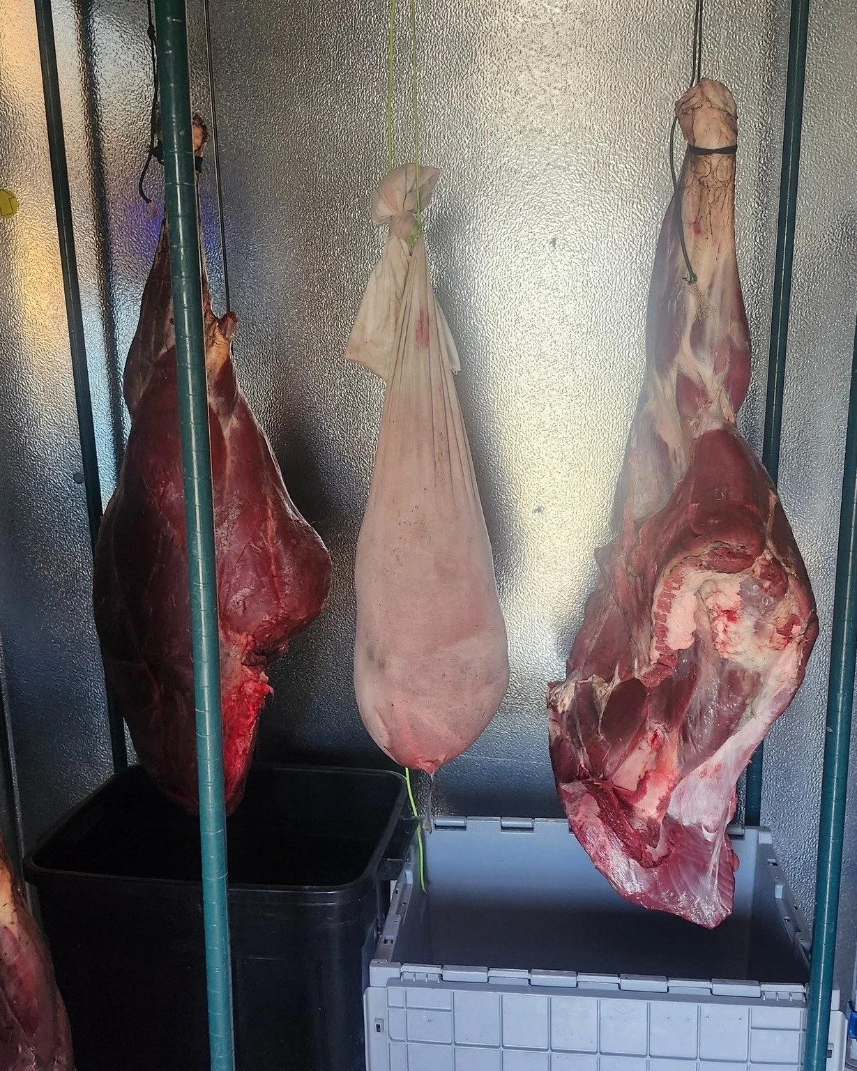 The walk-in cooler was utilized for the first time as a meat locker this week. Without the need to store any more produce this fall, this has been a great opportunity to support our community's local food system and self-sufficiency in another way.  