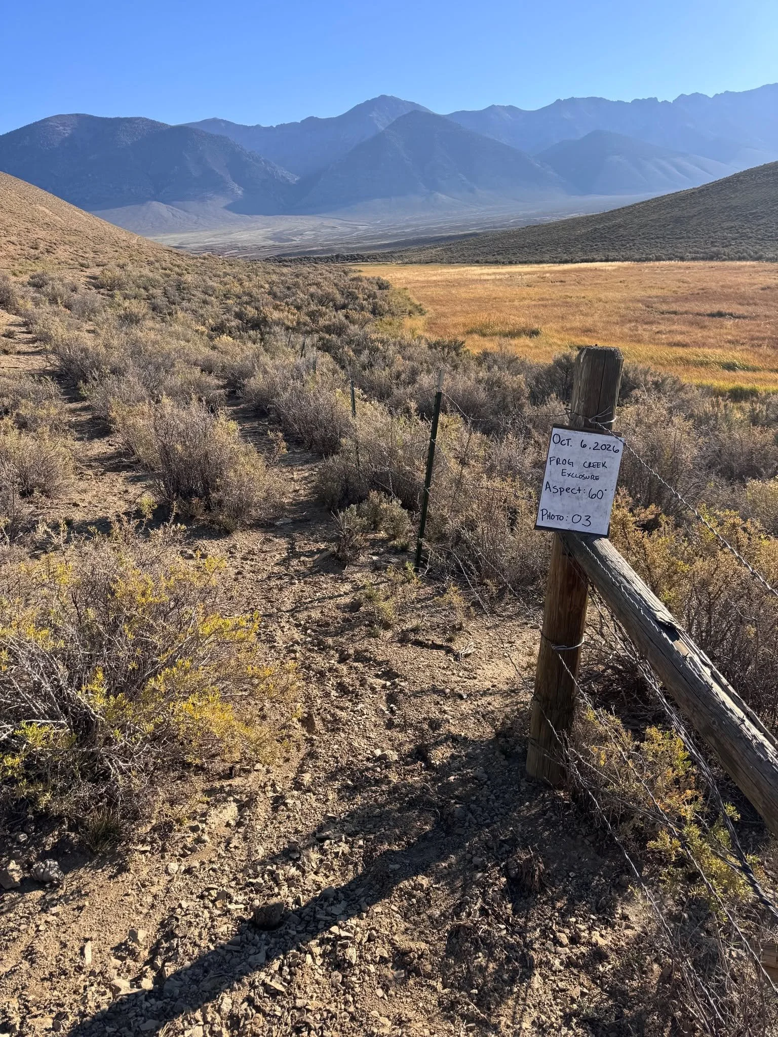 While field season is starting to wrap up, the Ecological Monitoring Crew is still putting in the miles to conduct vegetation surveys across the region. The crew has spent many weeks in the Pahsimeroi Valley, near Pass Creek, and Twin Peaks Ranch Sta