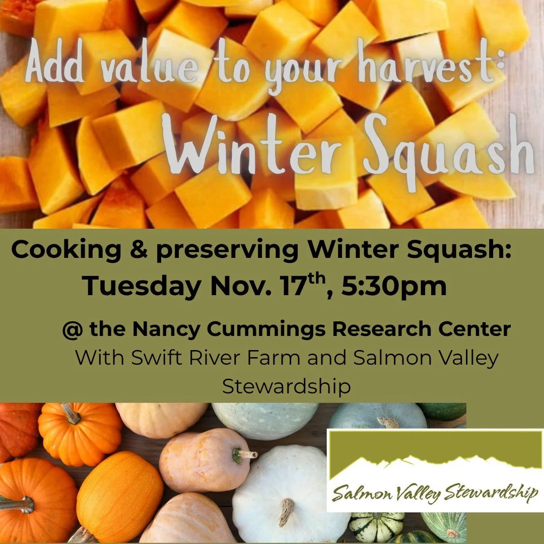 An important part of our community's food security is the ability to store, preserve, and cook with the food we can grow. Winter squash (including pumpkins) are one example of a storage crop that many people avoid because they don't know how to use i