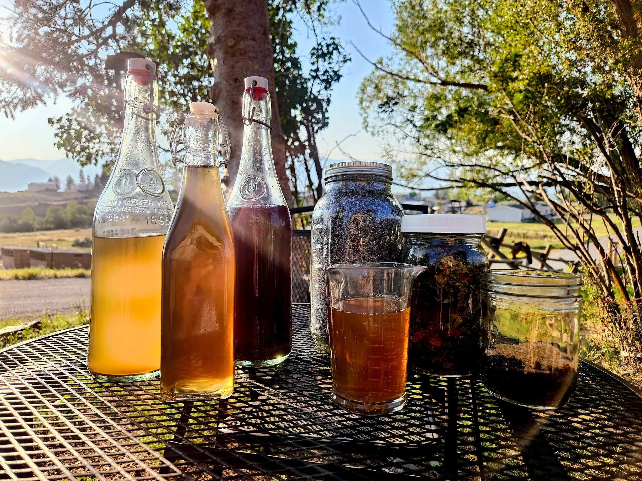 We're looking forward to sharing recipes for shrubs, fire cider, and elderberry syrup at the Elevated &amp; Medicinal Mixers workshop this Friday. 
Registration is still open on our website: 
www.salmonvalley.org/events
Appetizers, drinks, and mixers