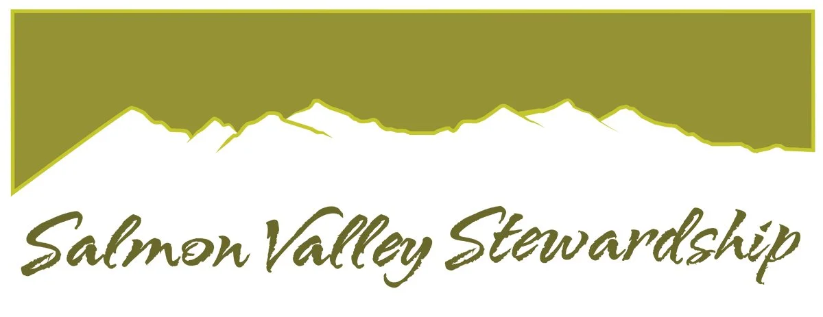 Salmon Valley Stewardship