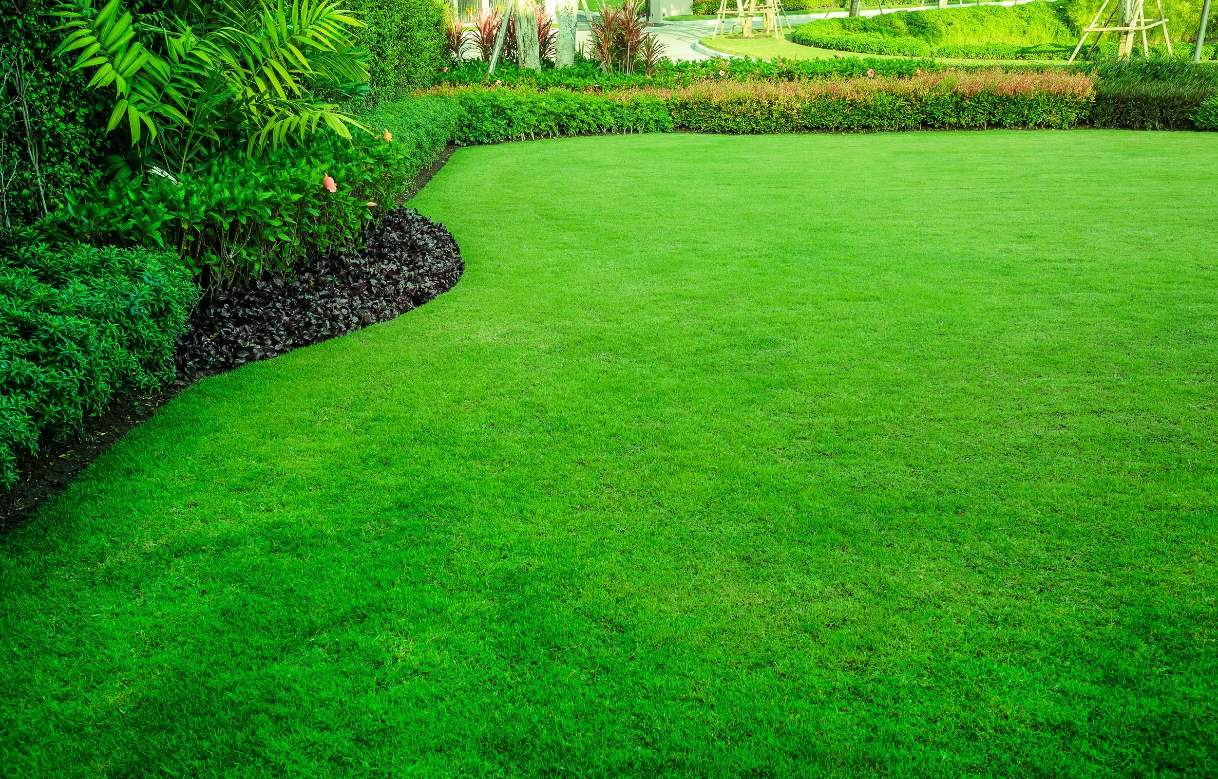 Well-maintained, lush green lawn edged with various shrubs and plants in a garden or park setting.