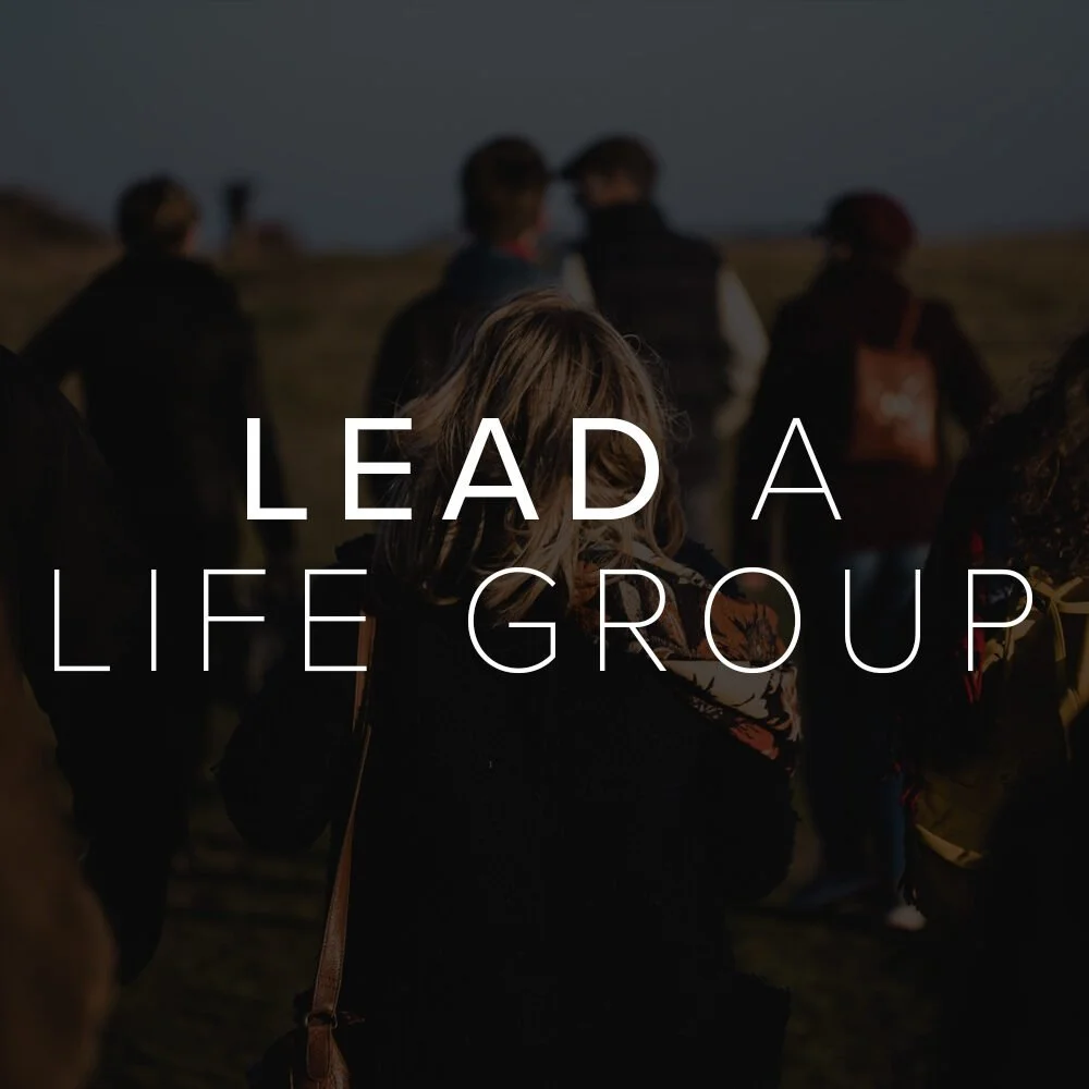 Group of people walking outdoors during evening or early morning, with a silhouette of hills in the background. Overlaid text says, 'LEAD A LIFE GROUP'.
