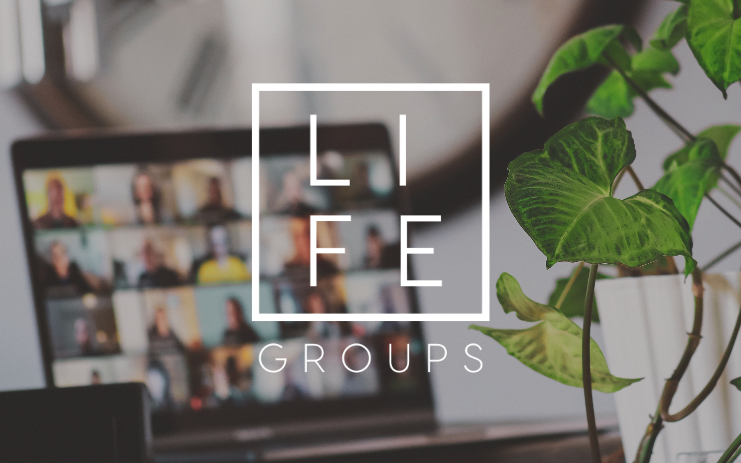 Livestream Life Group