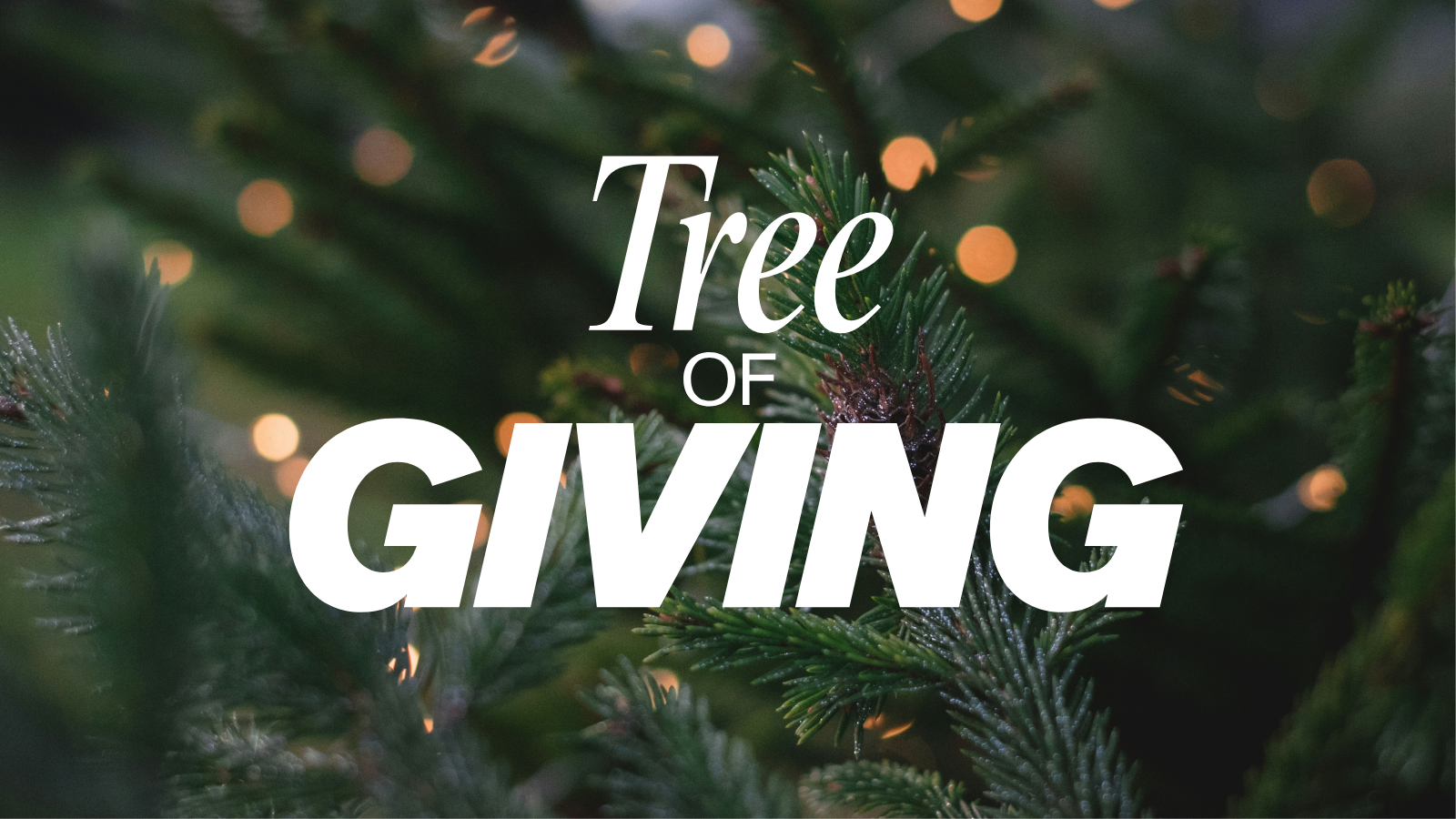 Tree of Giving