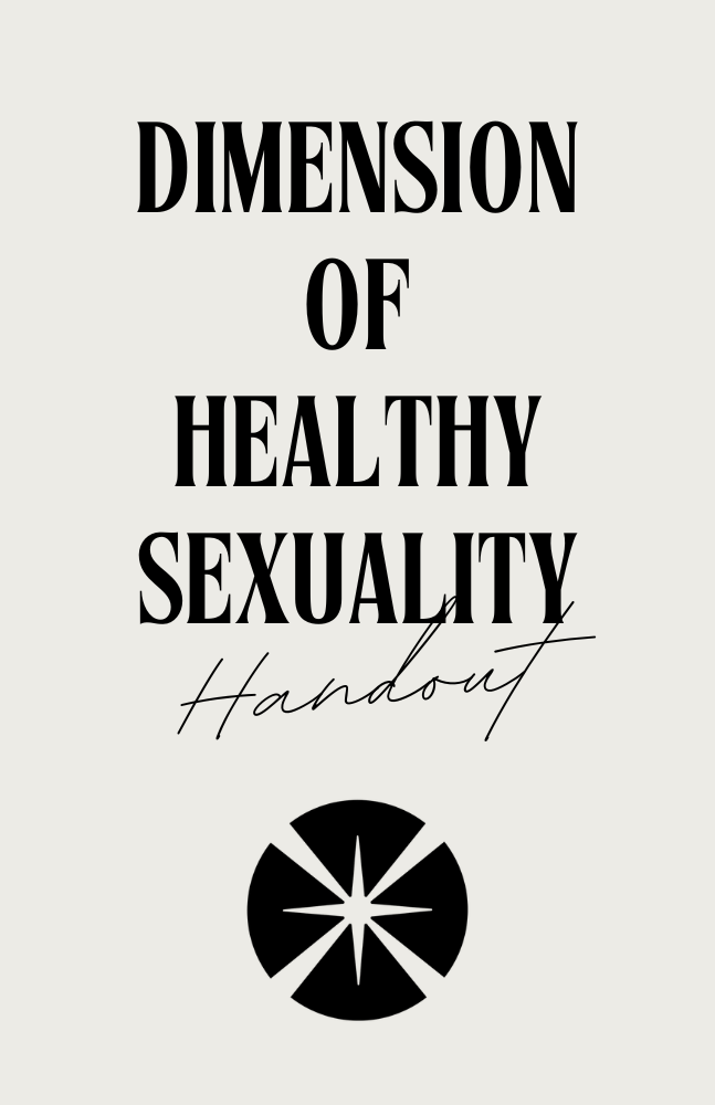 Cover page of a handbook titled "Dimension of Healthy Sexuality Handout" with a circular black and white abstract graphic at the bottom.