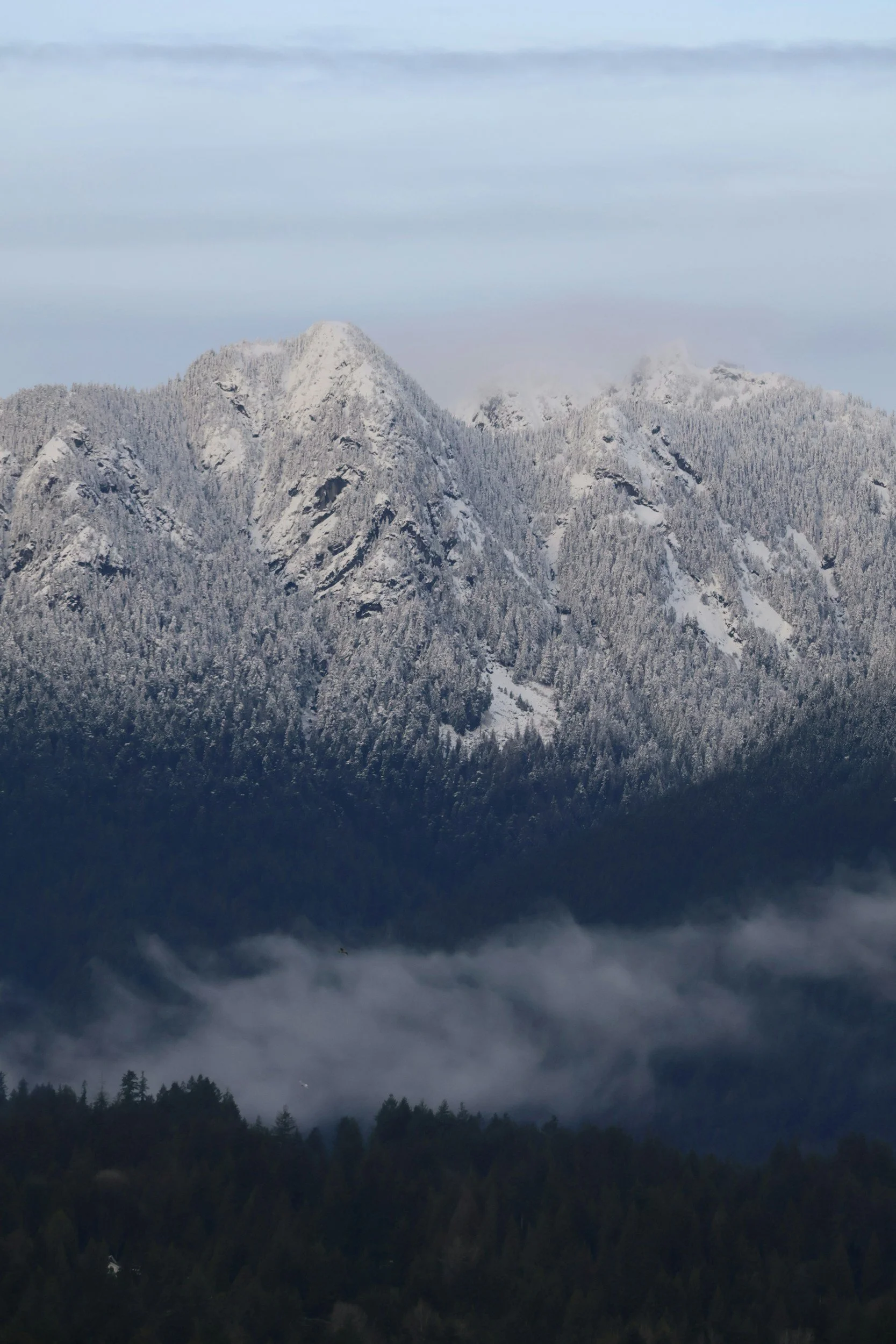 Snow-covered mountain peaks with a dense forest at the base and clouds hovering around the lower slopes.