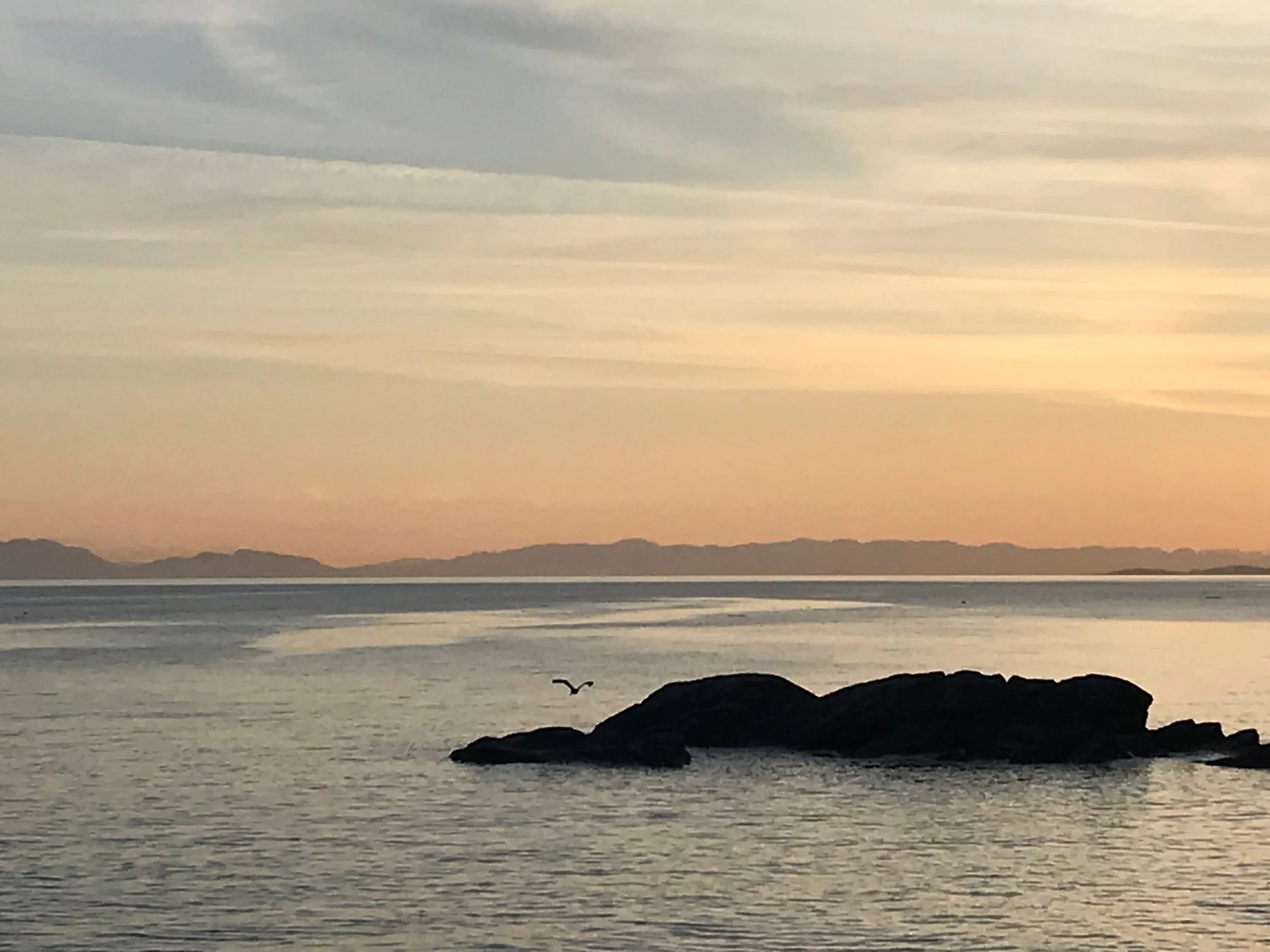 A tranquil scene of a sunset over the ocean with distant islands on the horizon, a solitary bird flying close to the rocky shoreline, and calm water reflecting the warm colors of the sky.